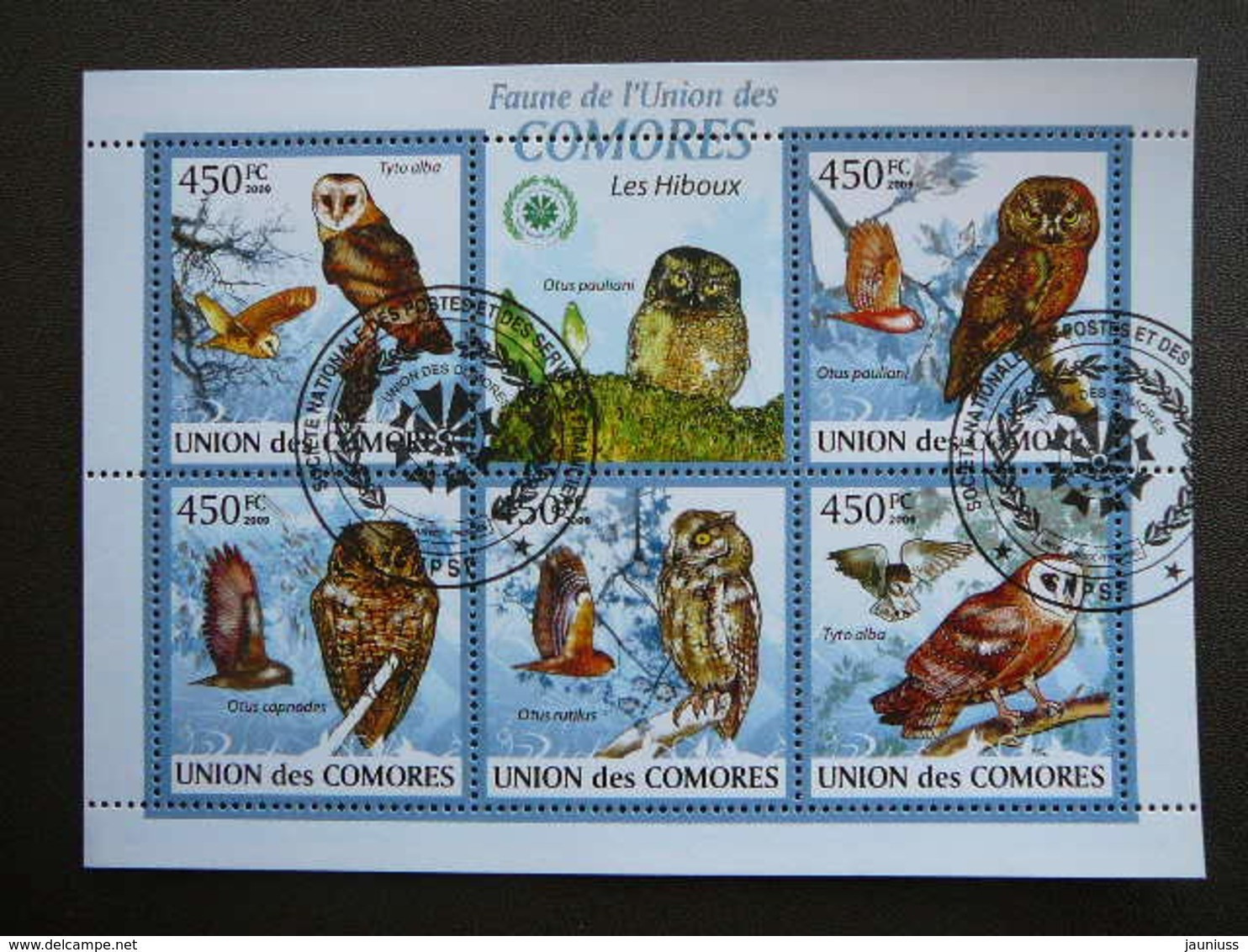 Owls. Eulen. Les Hiboux # Comoros 2009 Used S/s #551 Comores Birds - Gufi E Civette