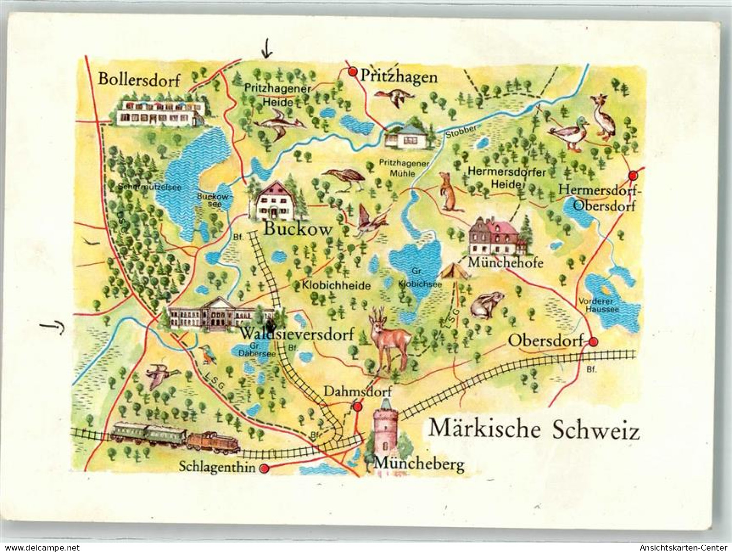 39513606 - Muencheberg - Müncheberg