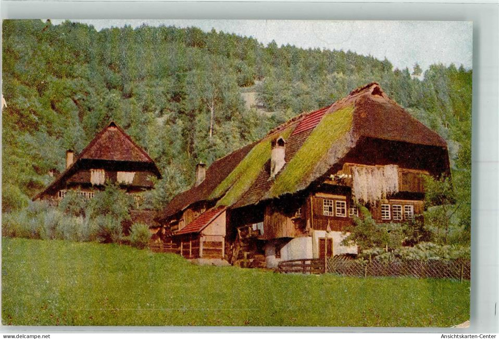 39801006 - N.Nr.372 - Hochschwarzwald