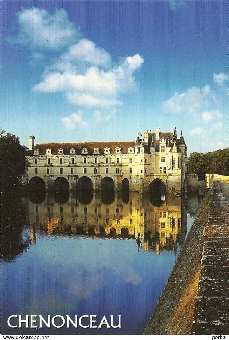 *CPM  - 37 - CHENONCEAU - Le Château Sur Le Cher - Chenonceaux