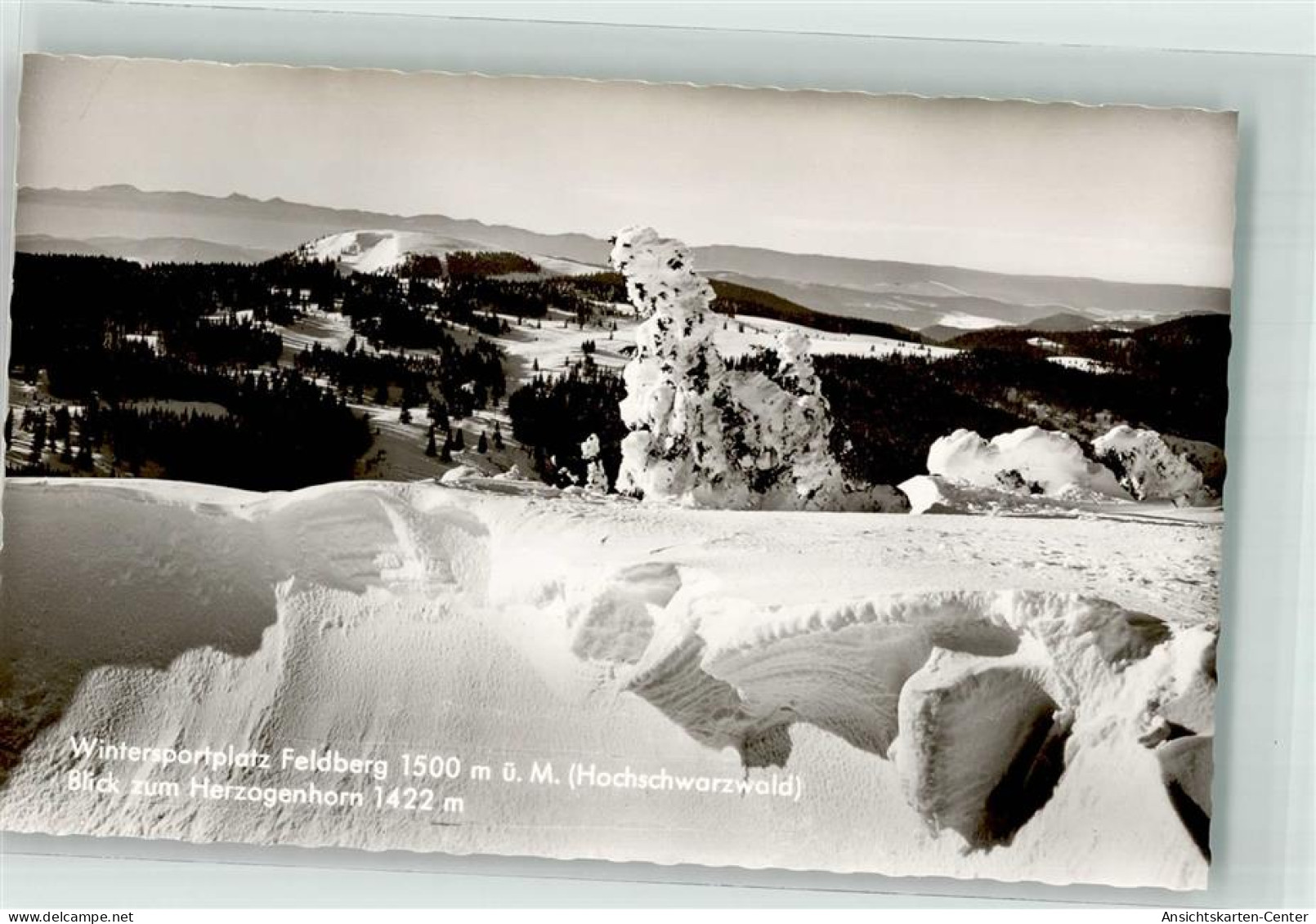 39771906 - Feldberg , Schwarzwald - Feldberg