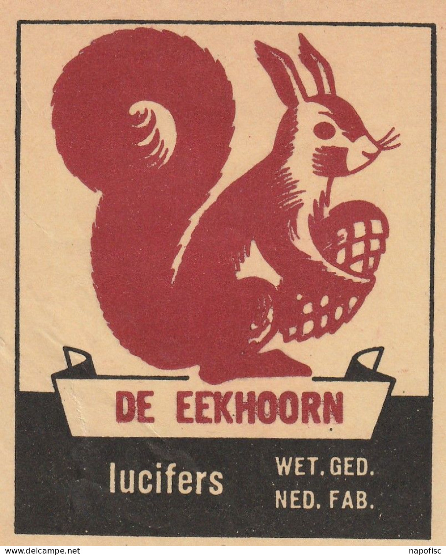 112-Luciferetiket Etiquettes Allumettes Match Label De Eekhoorn - Pays-Bas