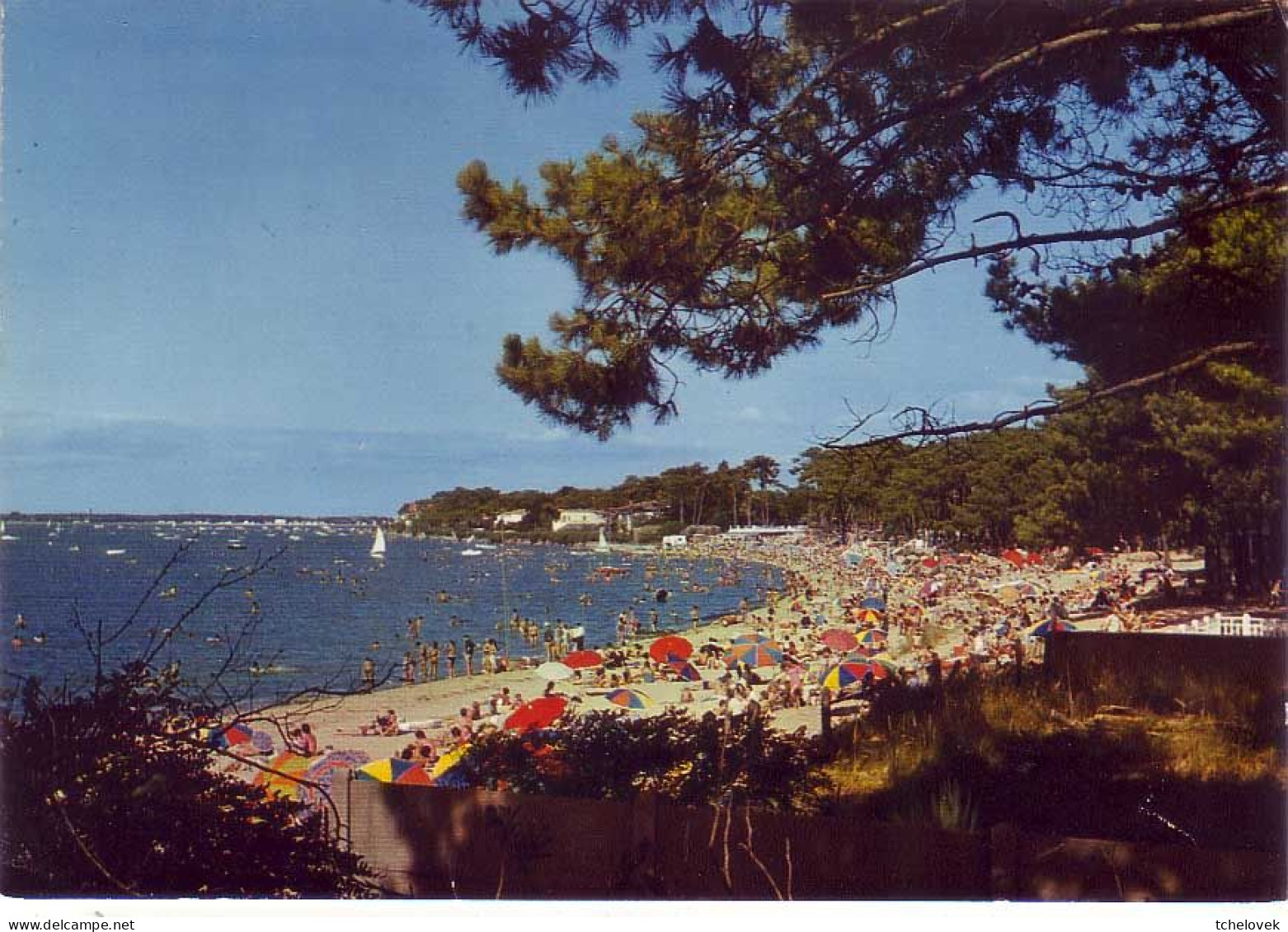 (17). La Tremblade. 3 Cp. Ronce Les Bains. B 438 Pins Rivant La Plage De La Cepe & B 422 Baie De La Cepe & 151 PTT - La Tremblade