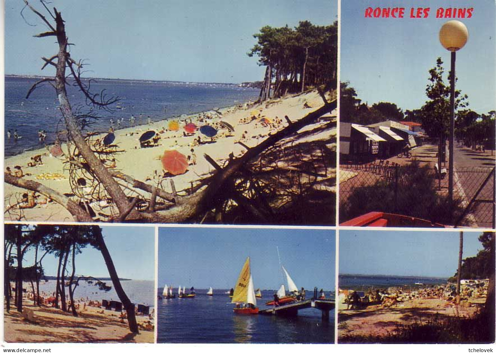 (17). La Tremblade. 2 Cp. Ronce Les Bains. B 450 Plage & 126 Planche à Voile - La Tremblade