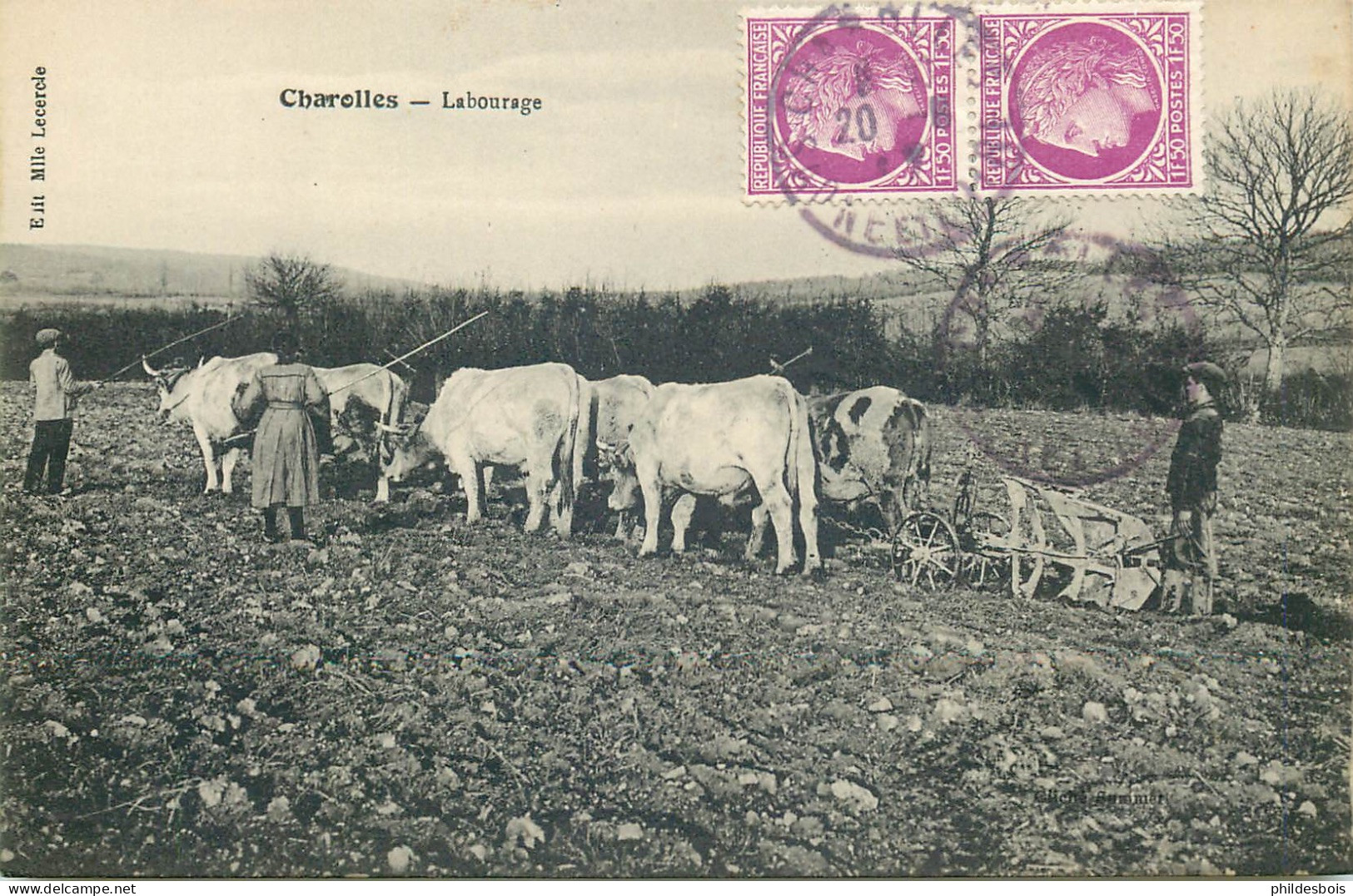 SAONE ET LOIRE  CHAROLLES  Labourage - Charolles