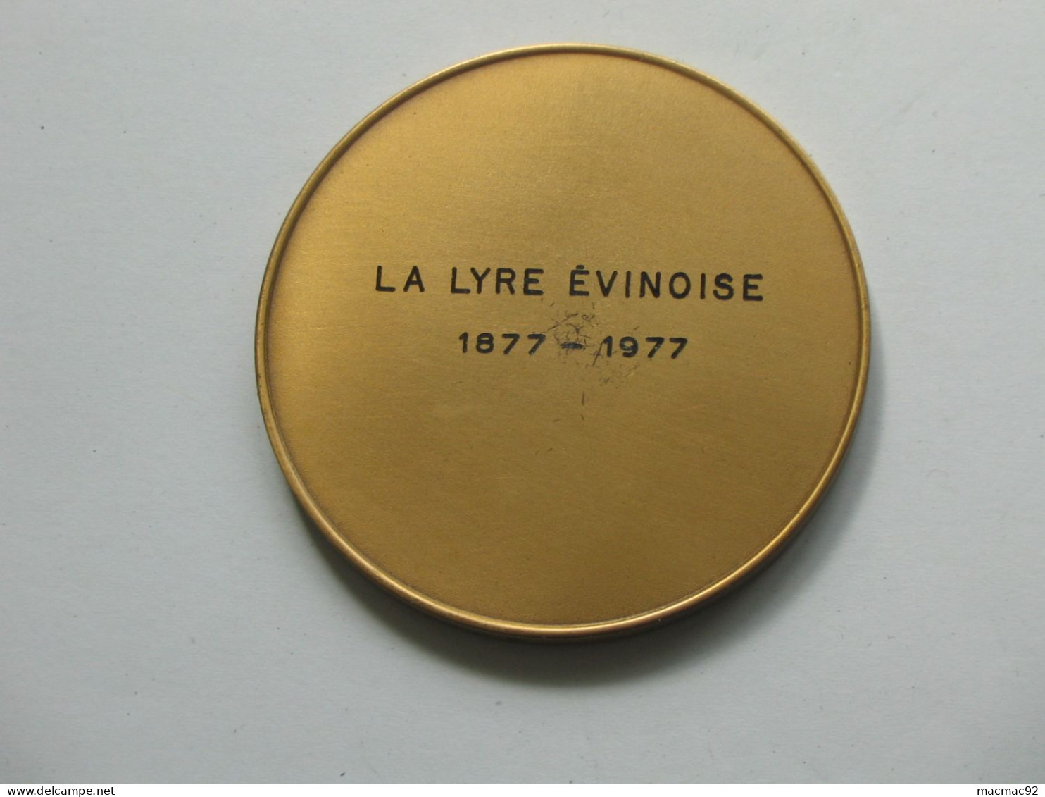 Jolie Médaille La LYRE Evinoise 1877-1977    **** EN ACHAT IMMEDIAT **** - Professionnels / De Société