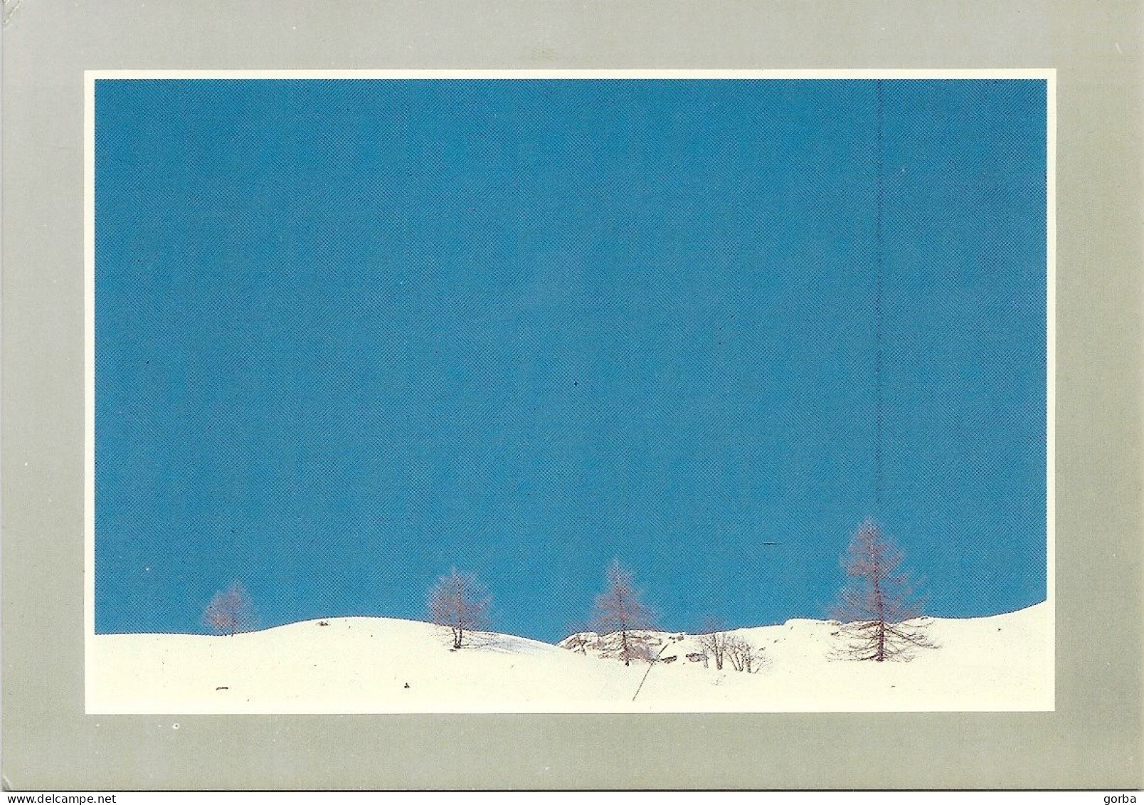 *CPM - Les Joies De La Neige 8509 - Paysage Sous La Neige - Photographie