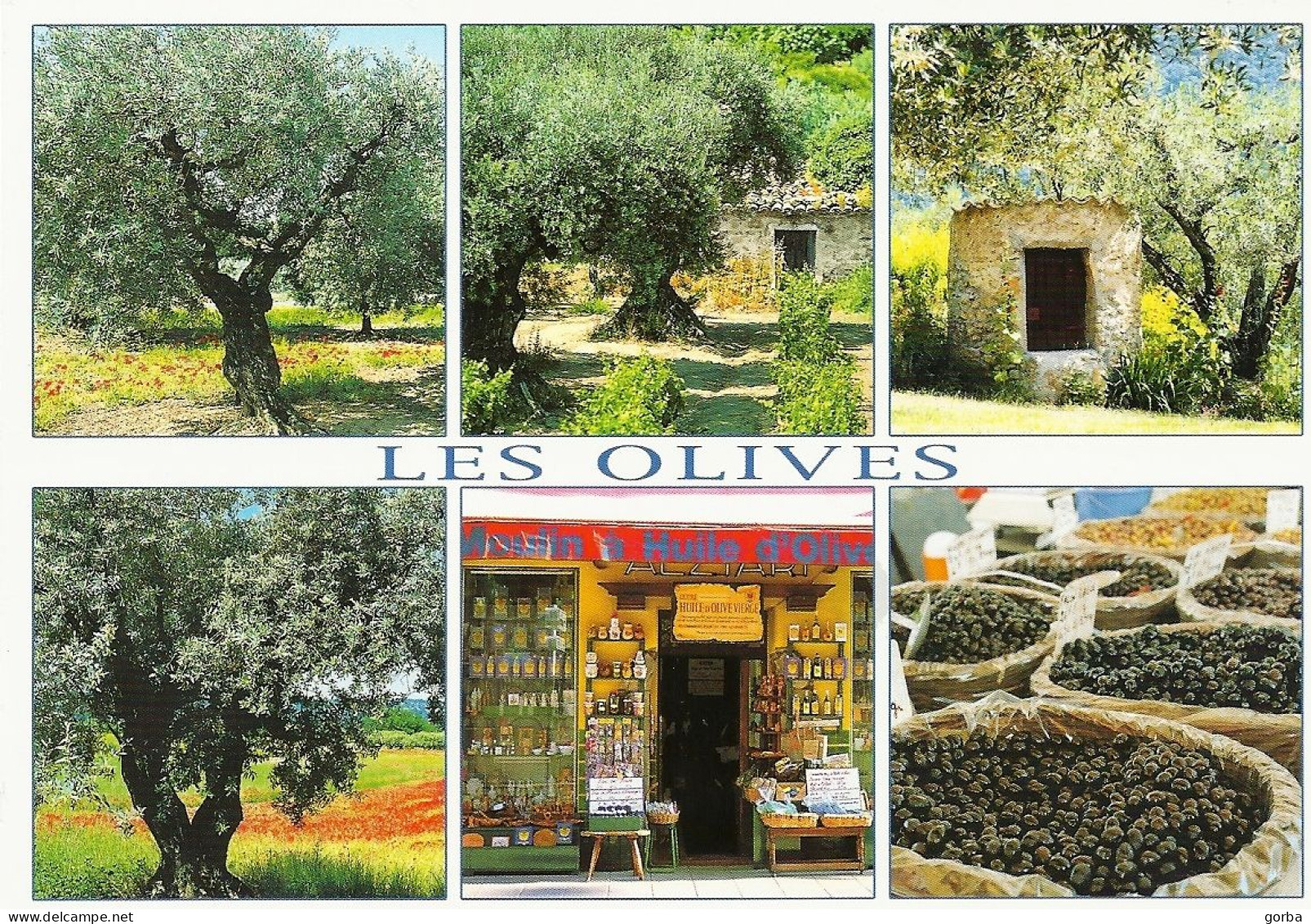 *CPM - Les Olives - Multivue - Sonstige & Ohne Zuordnung