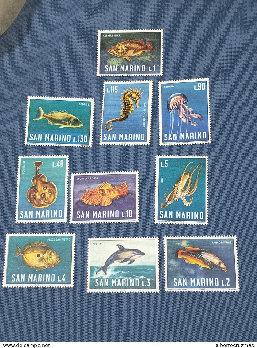 San Marino  SELLOS  Peces Del Mediterraneo   Yvert 676/5  Serie Completa   Año 1966   Sellos Nuevos *** - Neufs