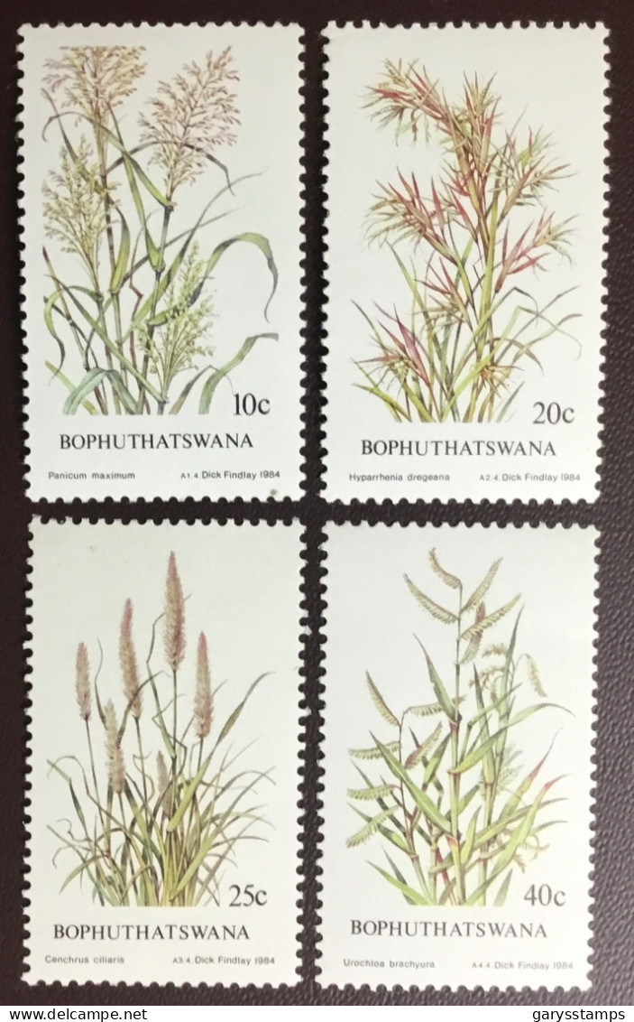 Bophuthatswana 1984 Grasses Plants MNH - Other & Unclassified
