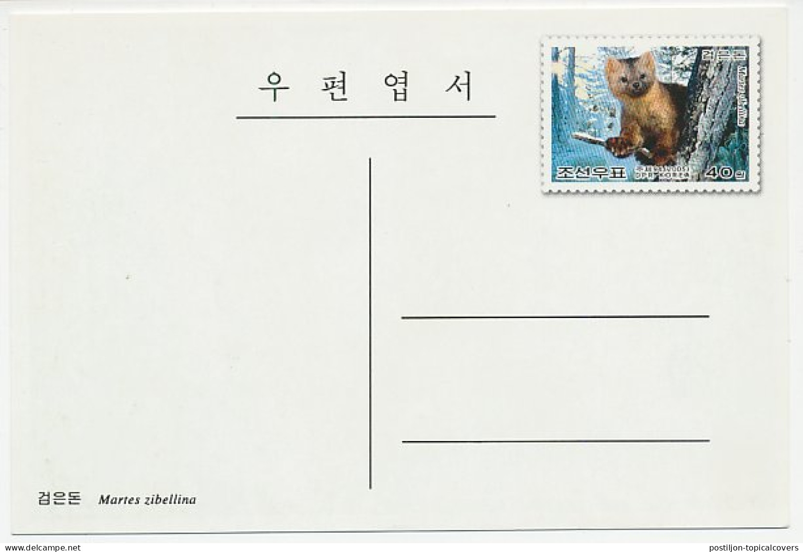 Postal Stationery Korea 2005 Marten - Weasel - Altri & Non Classificati