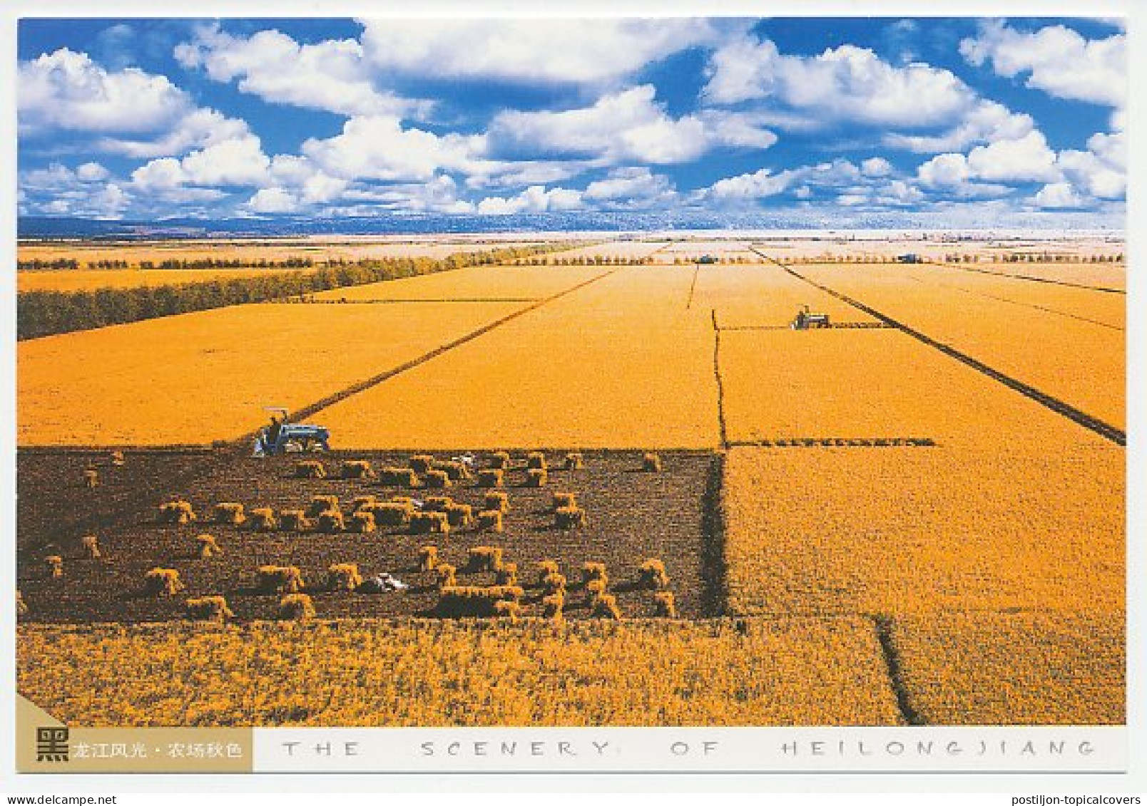 Postal Stationery China 2002 Farmland - Corn - Grain - Landbouw
