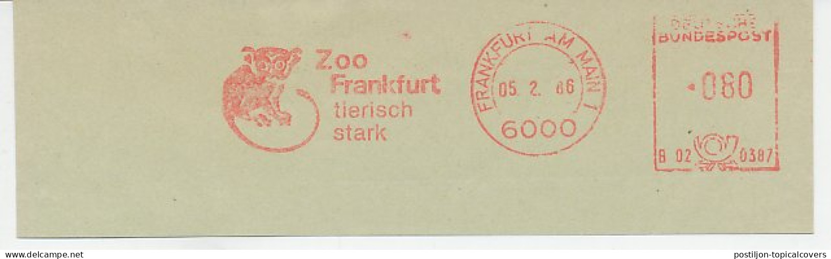 Meter Cut Germany 1960 Sulawesi Tarsier - Zoo Frankfurt  - Otros & Sin Clasificación