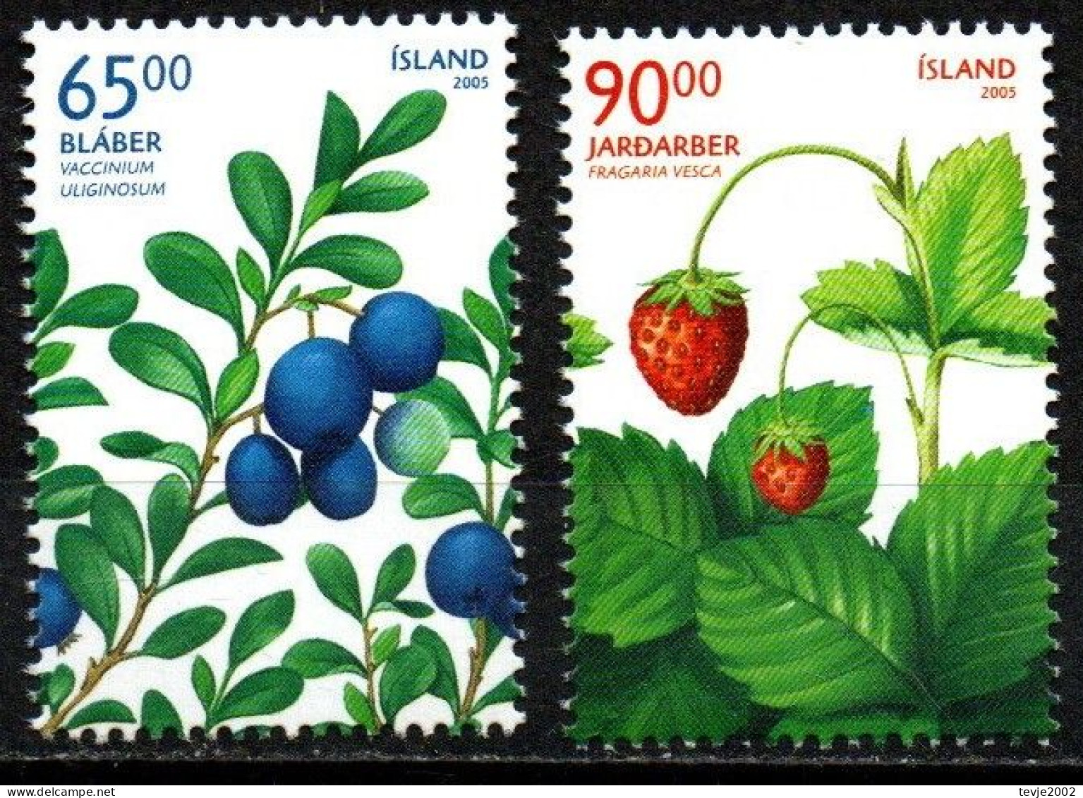 Island 2005 - Mi.Nr. 1106 - 1107 - Postfrisch MNH - Früchte Obst Beeren Berries - Frutta