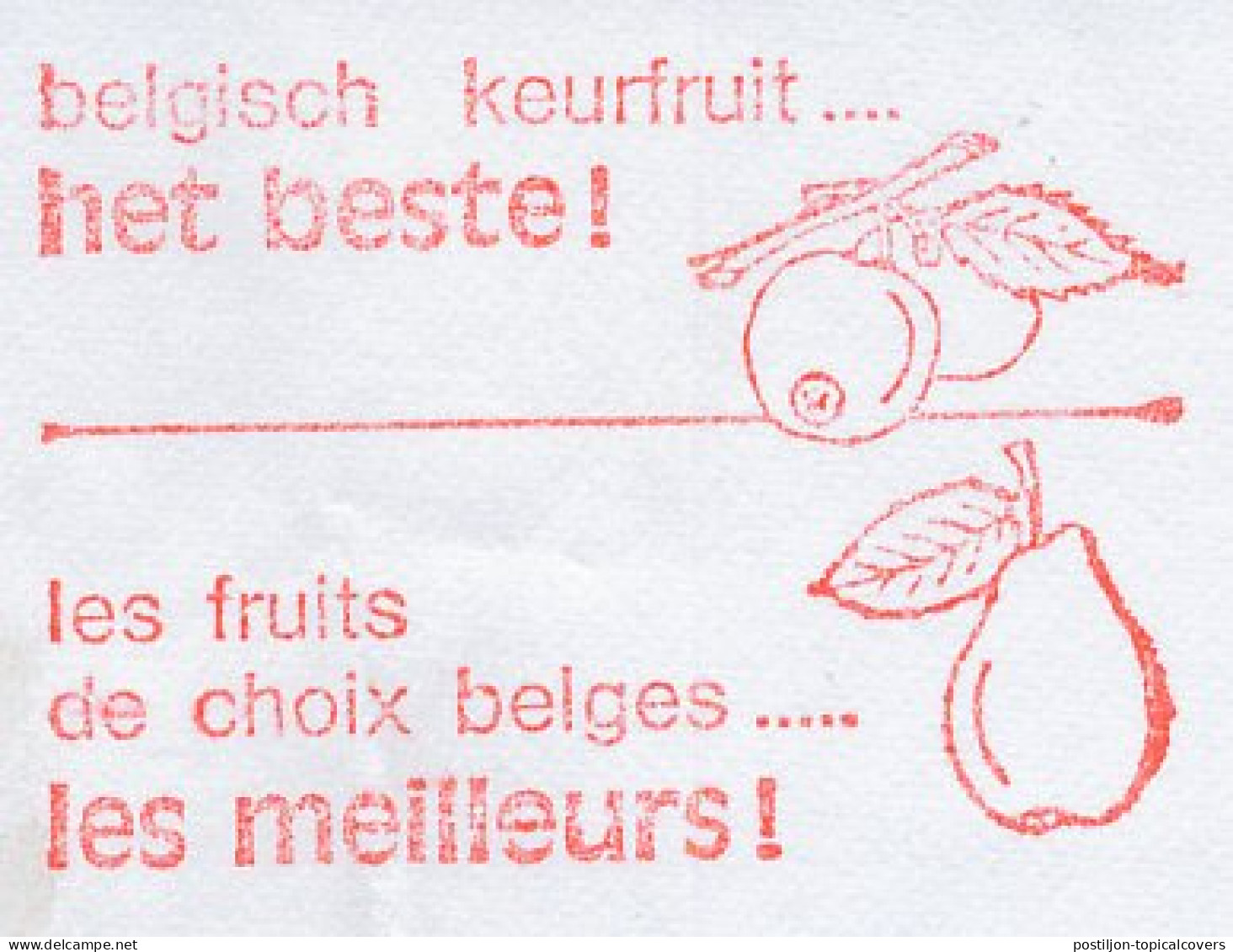 Meter Cut Belgium 1997 Apple - Pear - Fruits