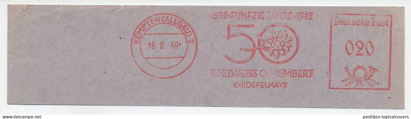 Meter Cut Deutsche Post / Germany 1949 Edelweiss Camembert - Cheese - Food