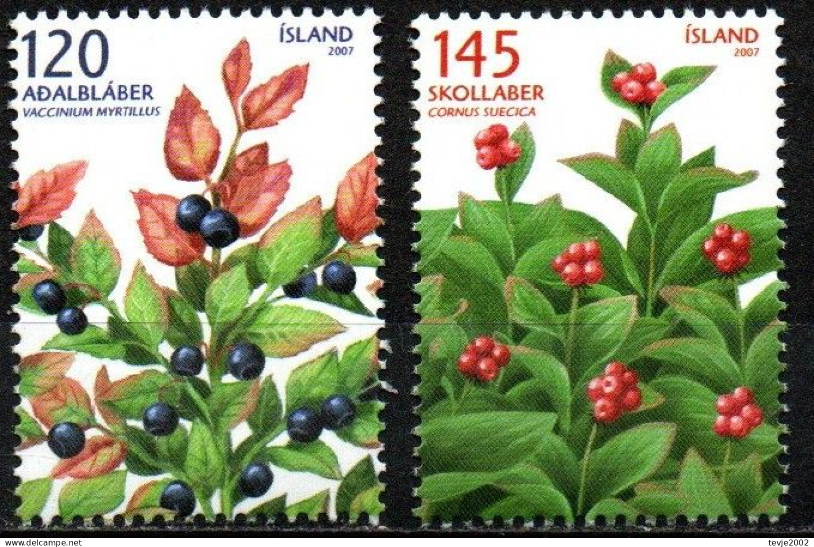 Island 2007 - Mi.Nr. 1175 - 1176 - Postfrisch MNH - Früchte Obst Beeren Berries - Frutta
