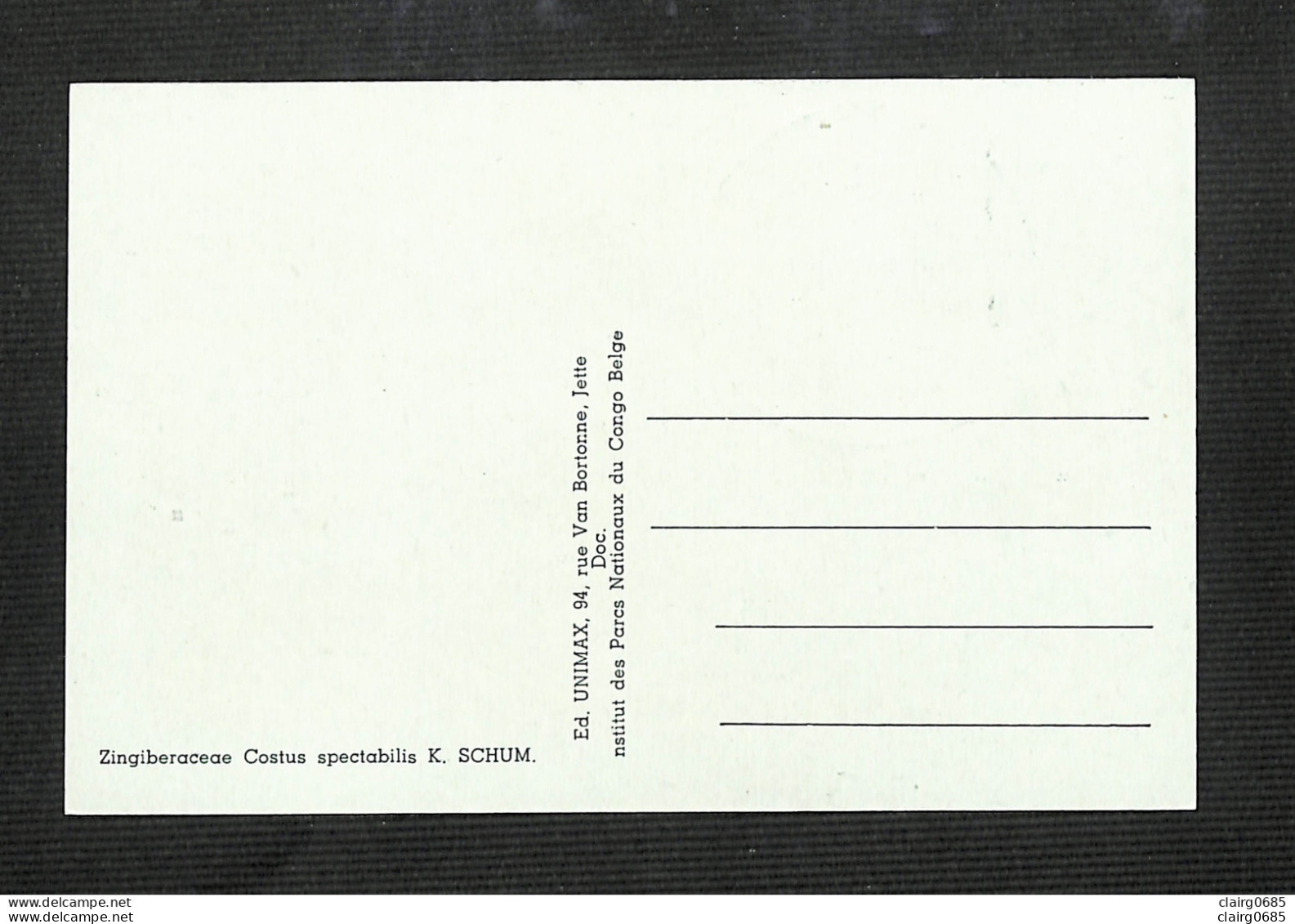 RUANDA-URUNDI - Carte MAXIMUM 1958 - Palais Du CONGO BELGE Et Du RUANDA-URUNDI - Fleurs - COSTUS - Sonstige & Ohne Zuordnung