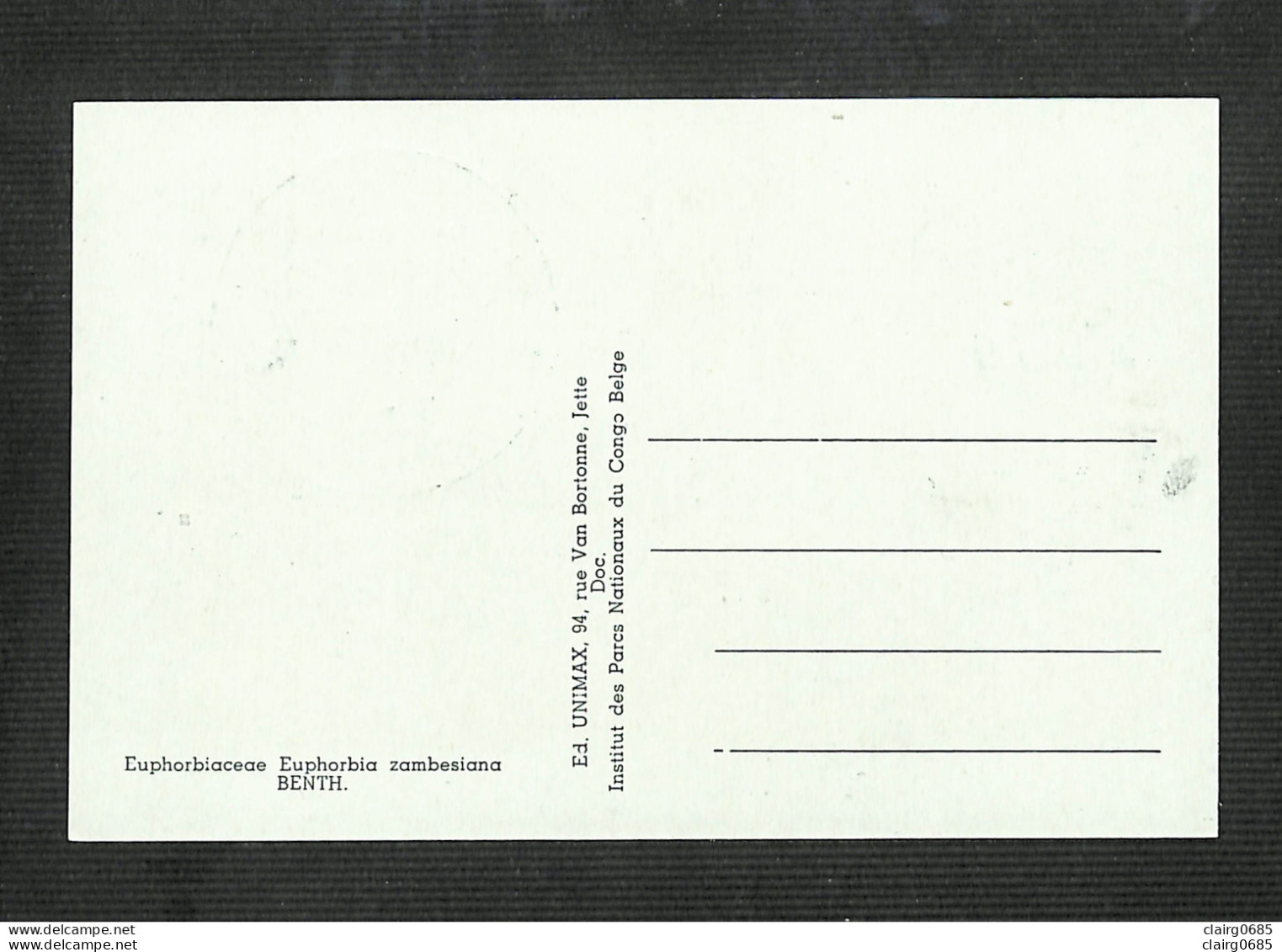 RUANDA-URUNDI - Carte MAXIMUM 1958 - Palais Du CONGO BELGE Et Du RUANDA-URUNDI - Fleurs - EUPHORBIA - Otros & Sin Clasificación