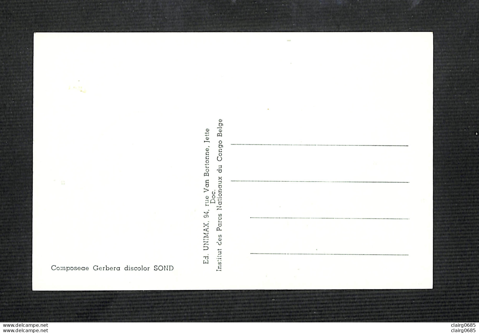 RUANDA-URUNDI - Carte MAXIMUM 1958 - Palais Du CONGO BELGE Et Du RUANDA-URUNDI - Fleurs - GERBERA - Altri & Non Classificati