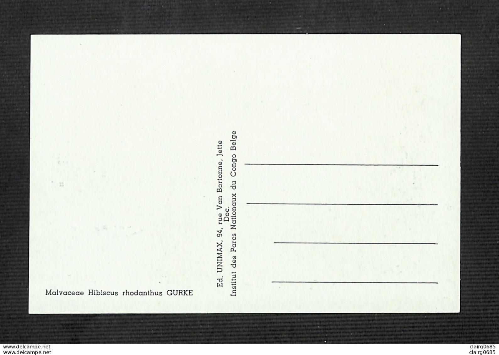 RUANDA-URUNDI - Carte MAXIMUM 1958 - Palais Du CONGO BELGE Et Du RUANDA-URUNDI - Fleurs - HIBISCUS - Andere & Zonder Classificatie