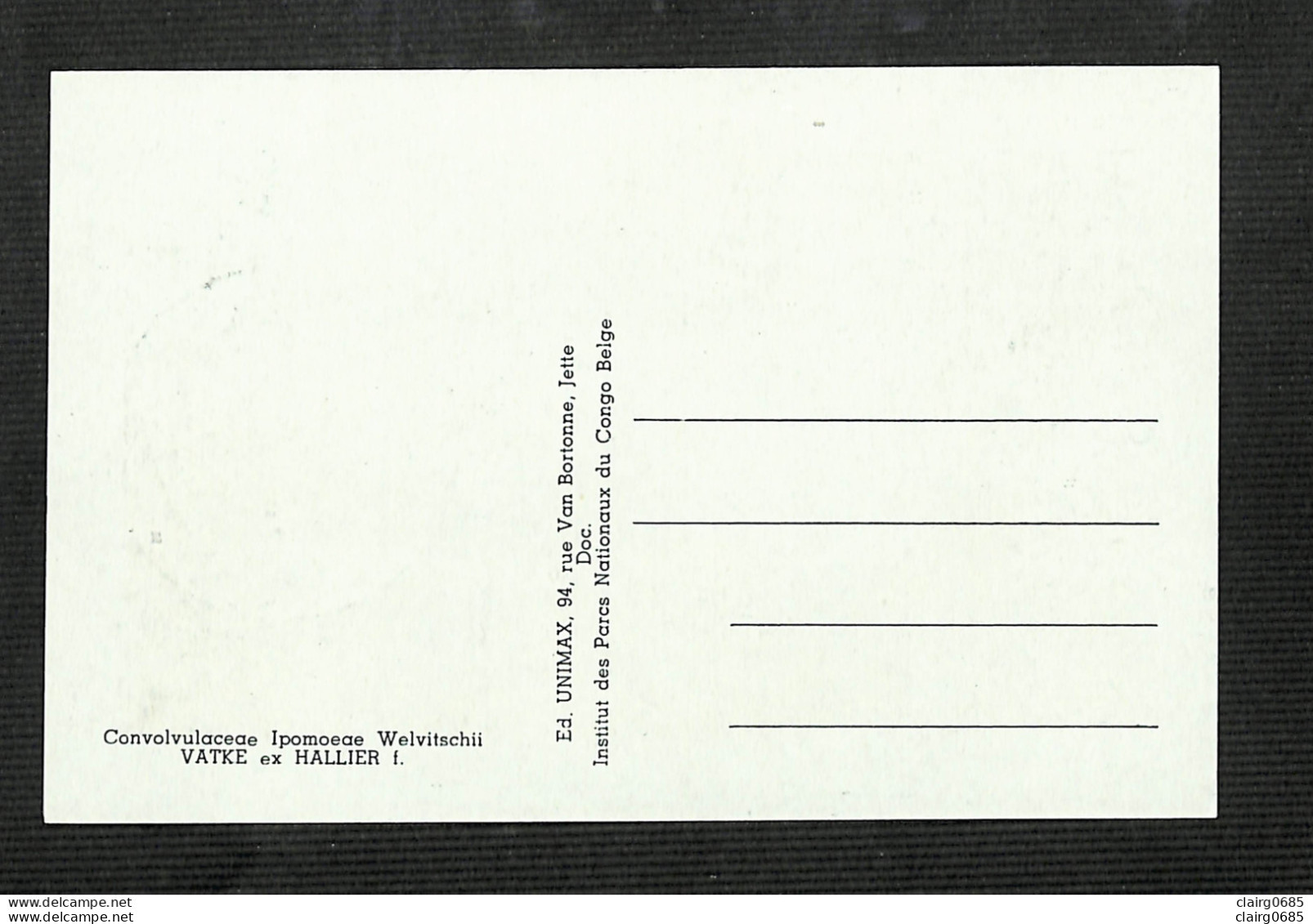 RUANDA-URUNDI - Carte MAXIMUM 1958 - Palais Du CONGO BELGE Et Du RUANDA-URUNDI - Fleurs - IPOMEA - Sonstige & Ohne Zuordnung