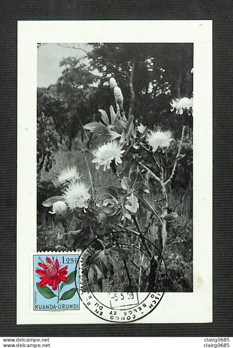 RUANDA-URUNDI - Carte MAXIMUM 1958 - Palais Du CONGO BELGE Et Du RUANDA-URUNDI - Fleurs - PROTEA - Autres & Non Classés