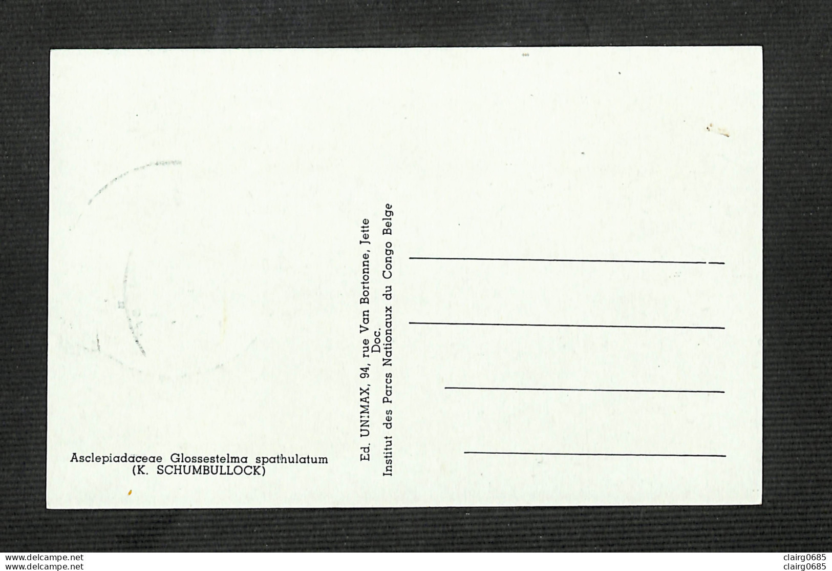 RUANDA-URUNDI - Carte MAXIMUM 1958 - Palais Du CONGO BELGE Et Du RUANDA-URUNDI - Fleurs - SCHIZOGLOSSUM - Altri & Non Classificati