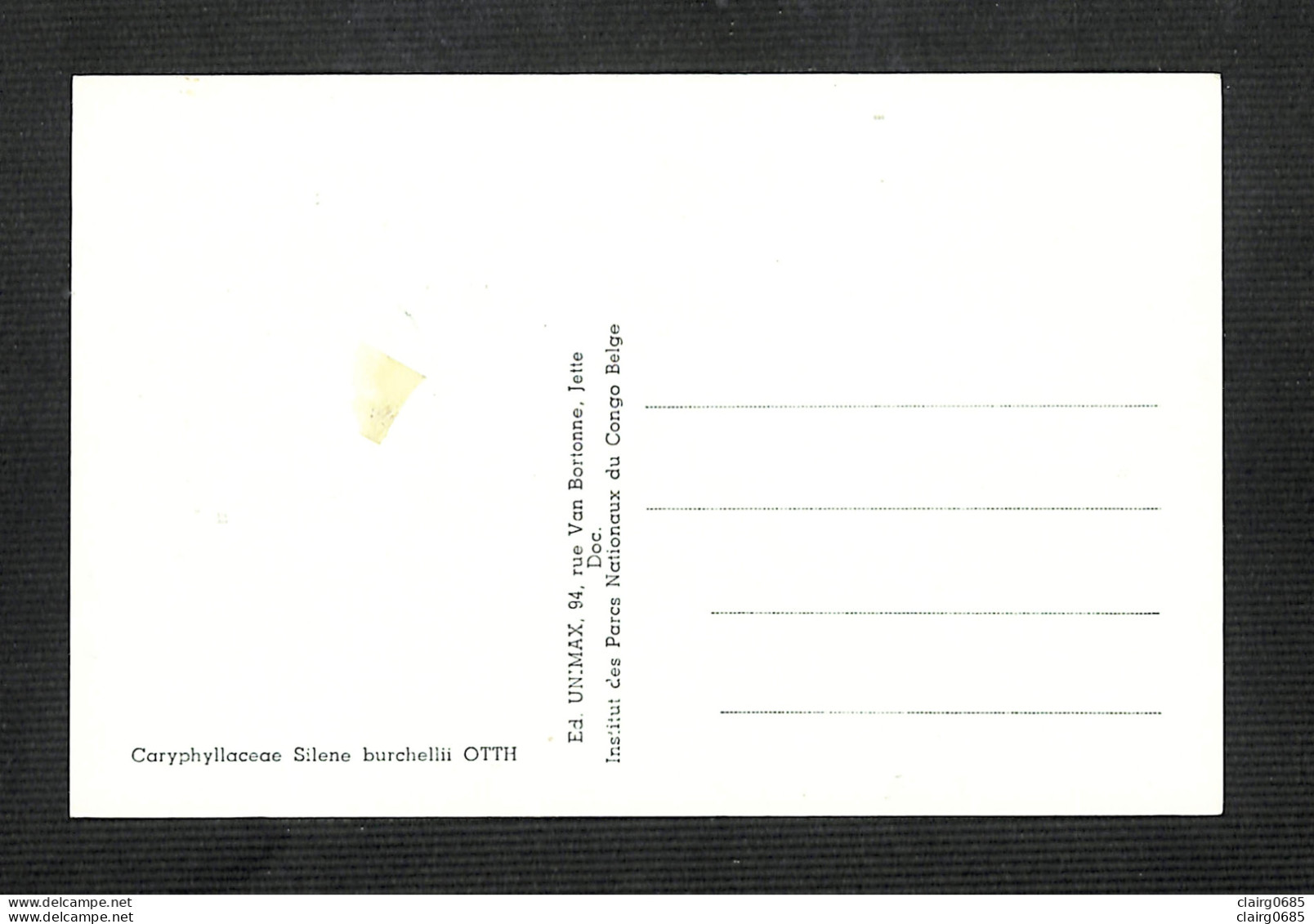 RUANDA-URUNDI - Carte MAXIMUM 1958 - Palais Du CONGO BELGE Et Du RUANDA-URUNDI - Fleurs - SILENE - Andere & Zonder Classificatie