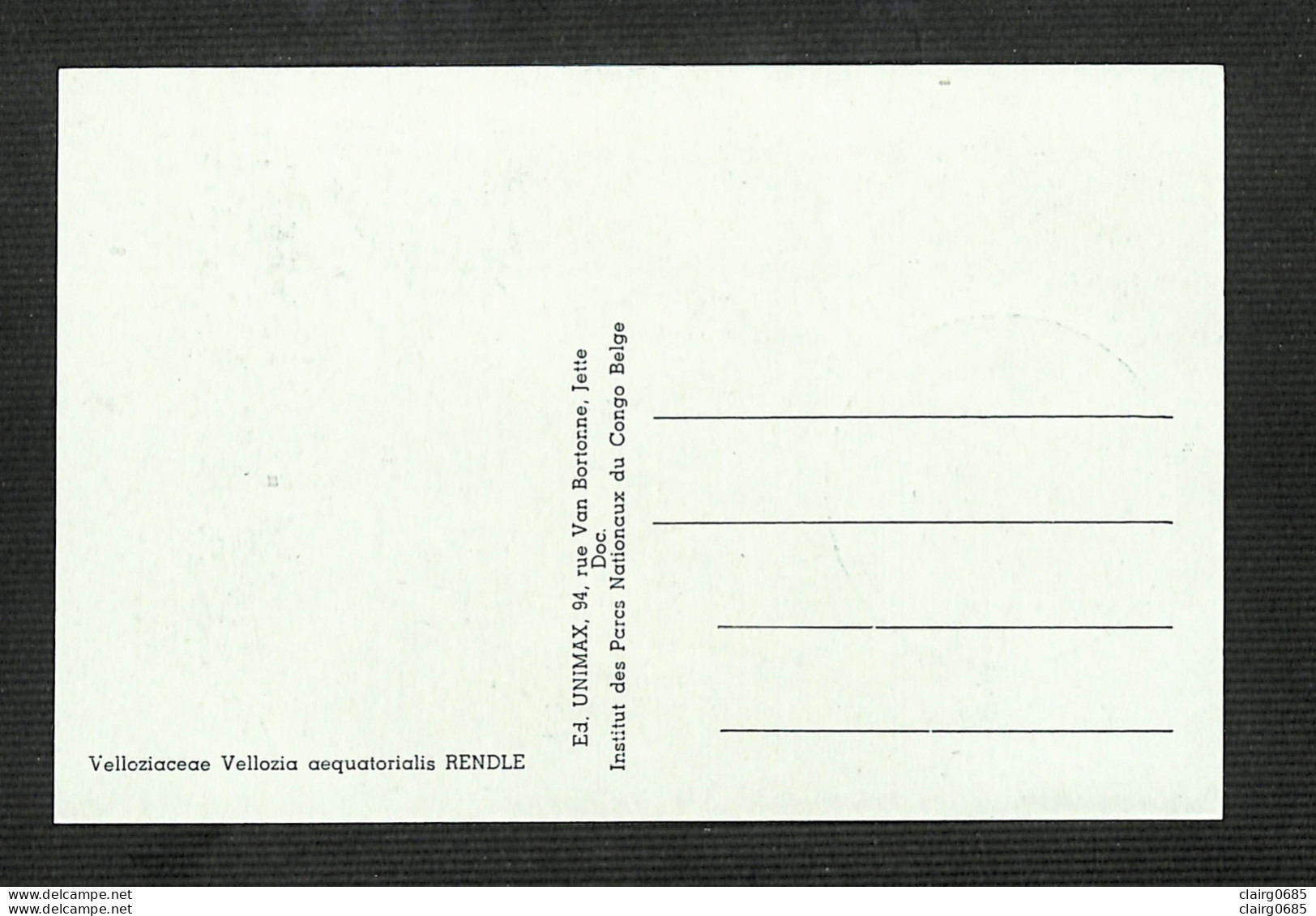 RUANDA-URUNDI - Carte MAXIMUM 1958 - Palais Du CONGO BELGE Et Du RUANDA-URUNDI - Fleurs - VELLOZIA - Altri & Non Classificati