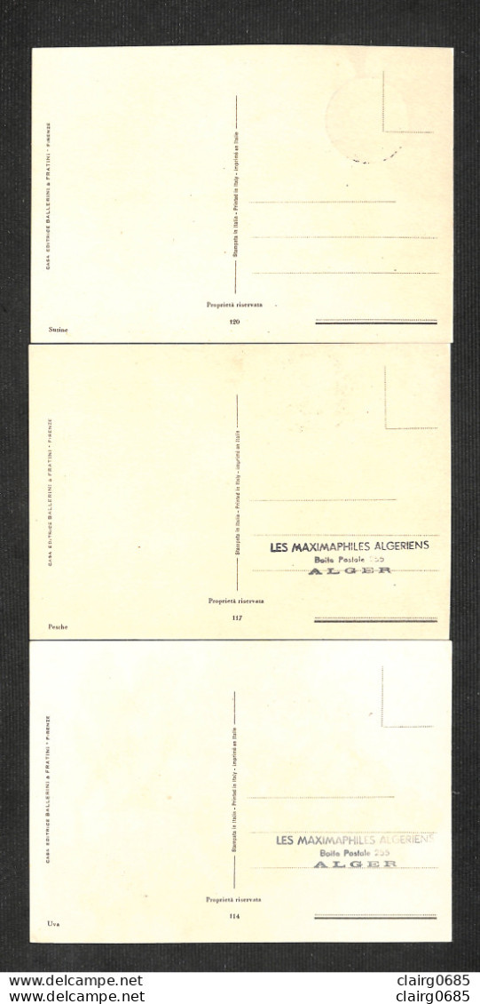 SAINT-MARIN - SAN MARINO - 3 Cartes MAXIMUM 1958 - Fruits - Other & Unclassified