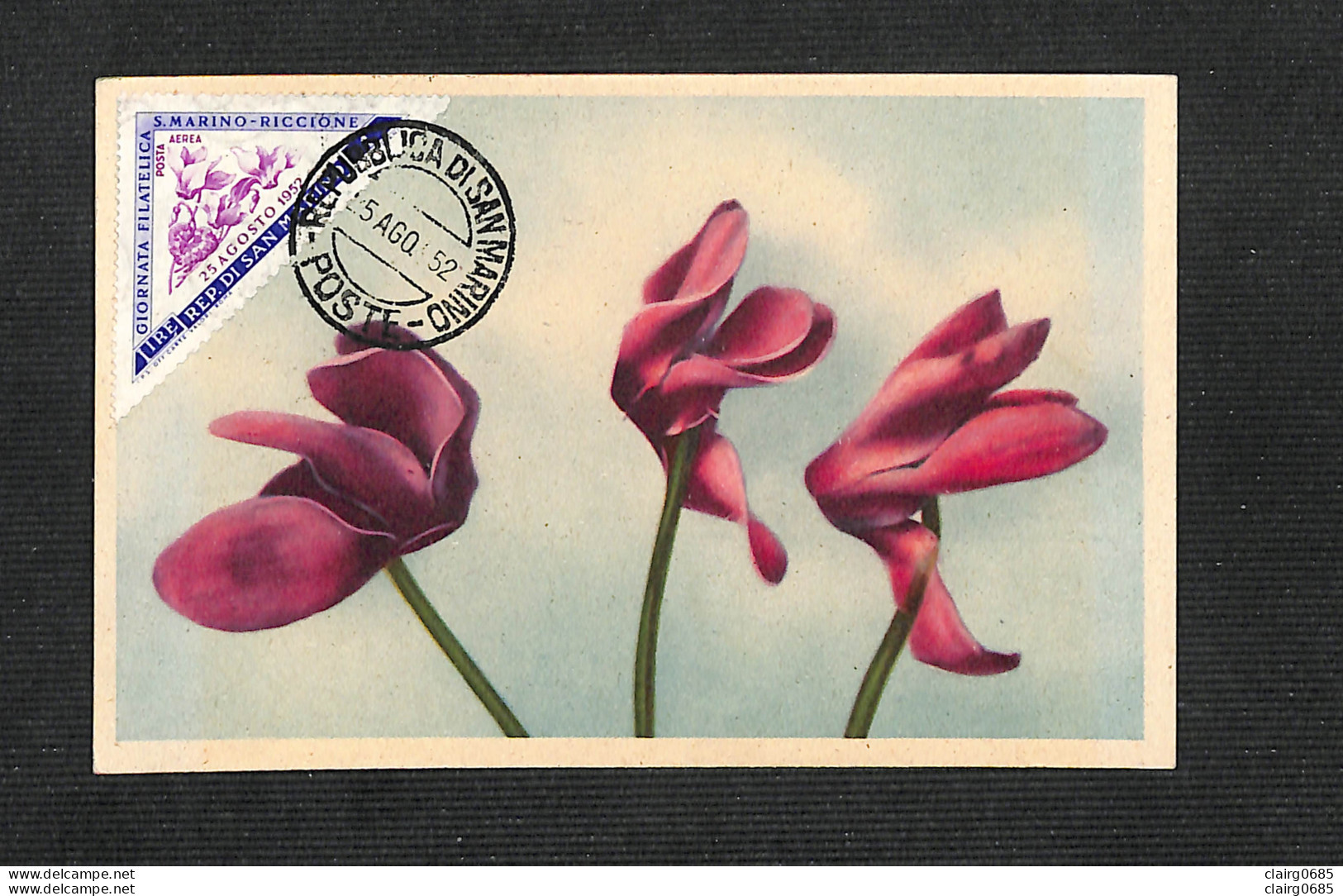 SAINT-MARIN - SAN MARINO - Carte MAXIMUM 1952 - Fleurs - Autres & Non Classés