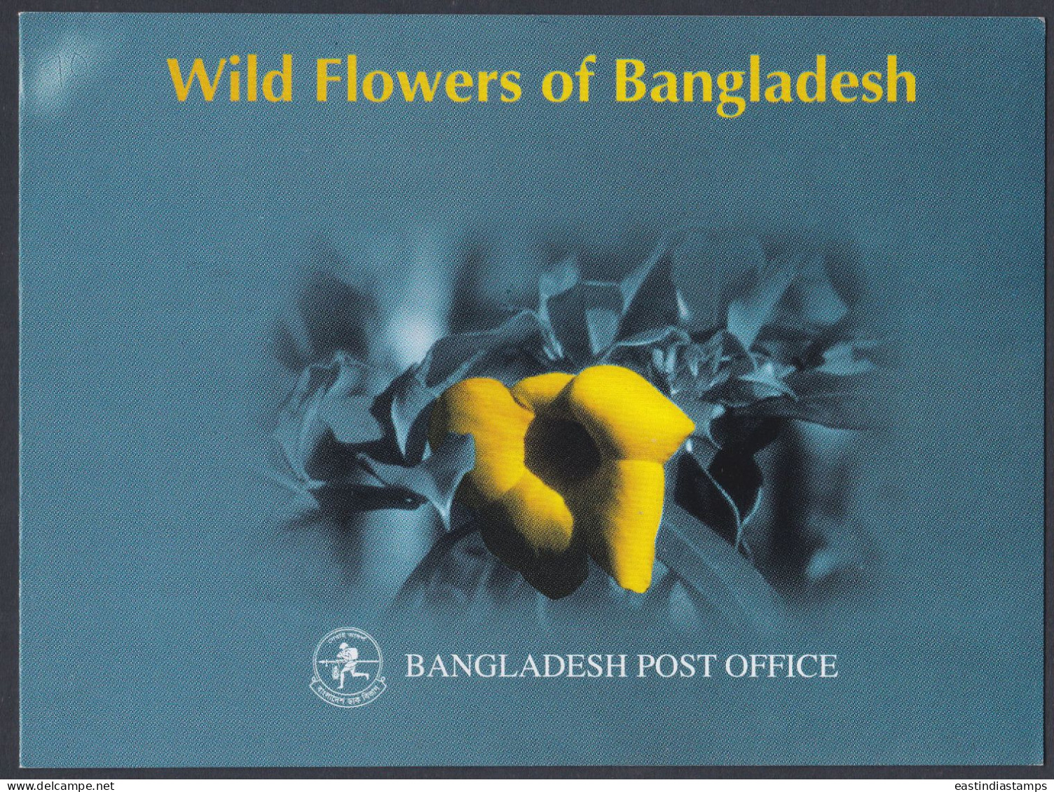 Bangladesh Wild Flowers Of Bangladesh, Flower, Mexican Prickly Poppy, Poisonous Plants - Bangladesh