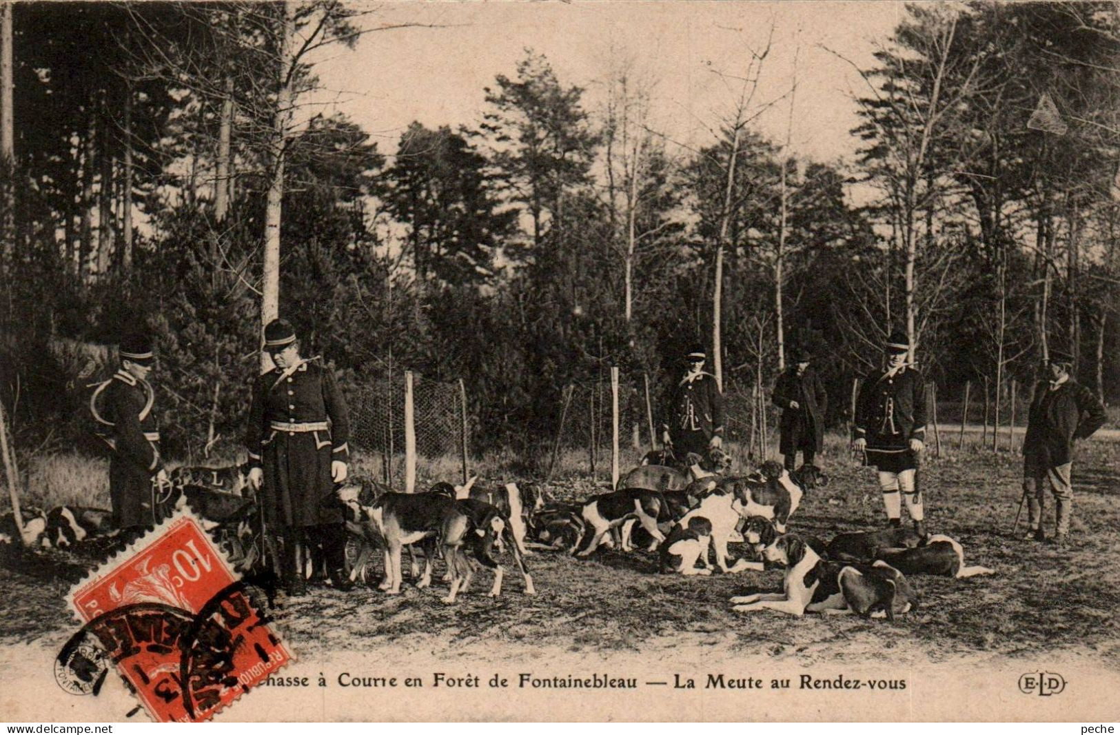 N°1622 W -cpa Forêt De Fontainebleau -la Meute Au Rendez Vous- - Jacht