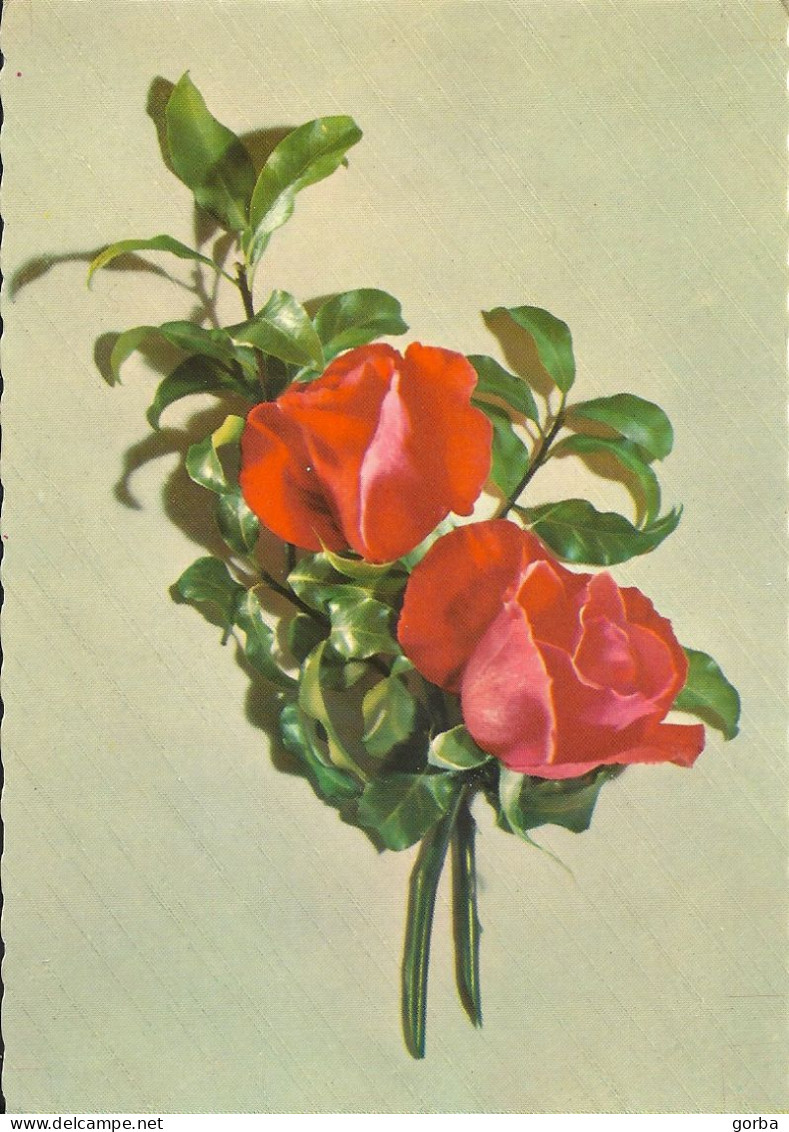 *CPM - 2 Roses Rouges - Sonstige & Ohne Zuordnung