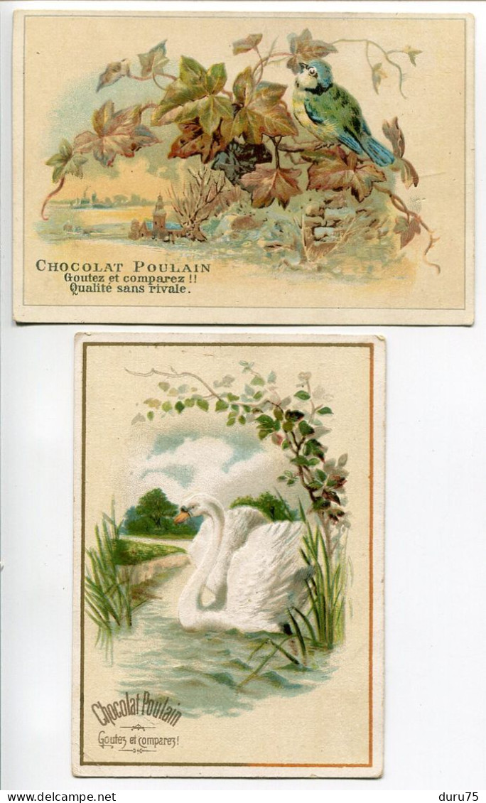 LOT De 3 * IMAGE CHROMO CHOCOLAT POULAIN * Oiseaux : Rouge Gorge - Mésange - Cygne - Poulain