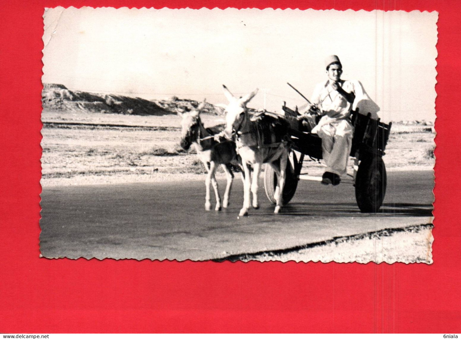 18681   PAKISTAN. Donkey Cart Karachi   (2 Scans) Ane Donkey Charrette - Pakistan