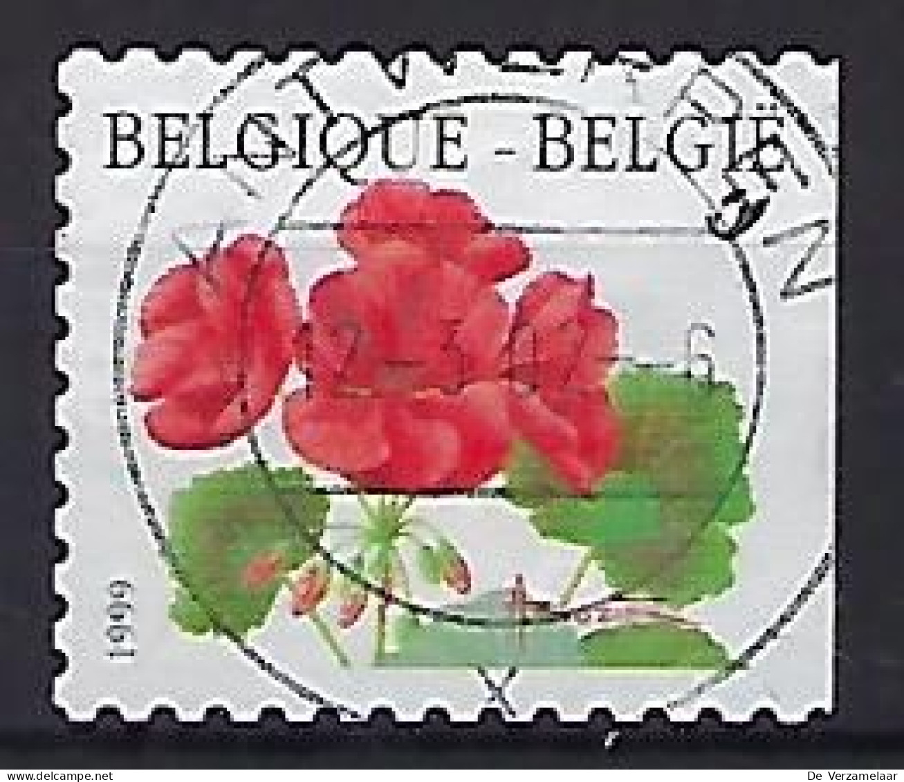 Ca Nr 2850a Antwerpen - Used Stamps