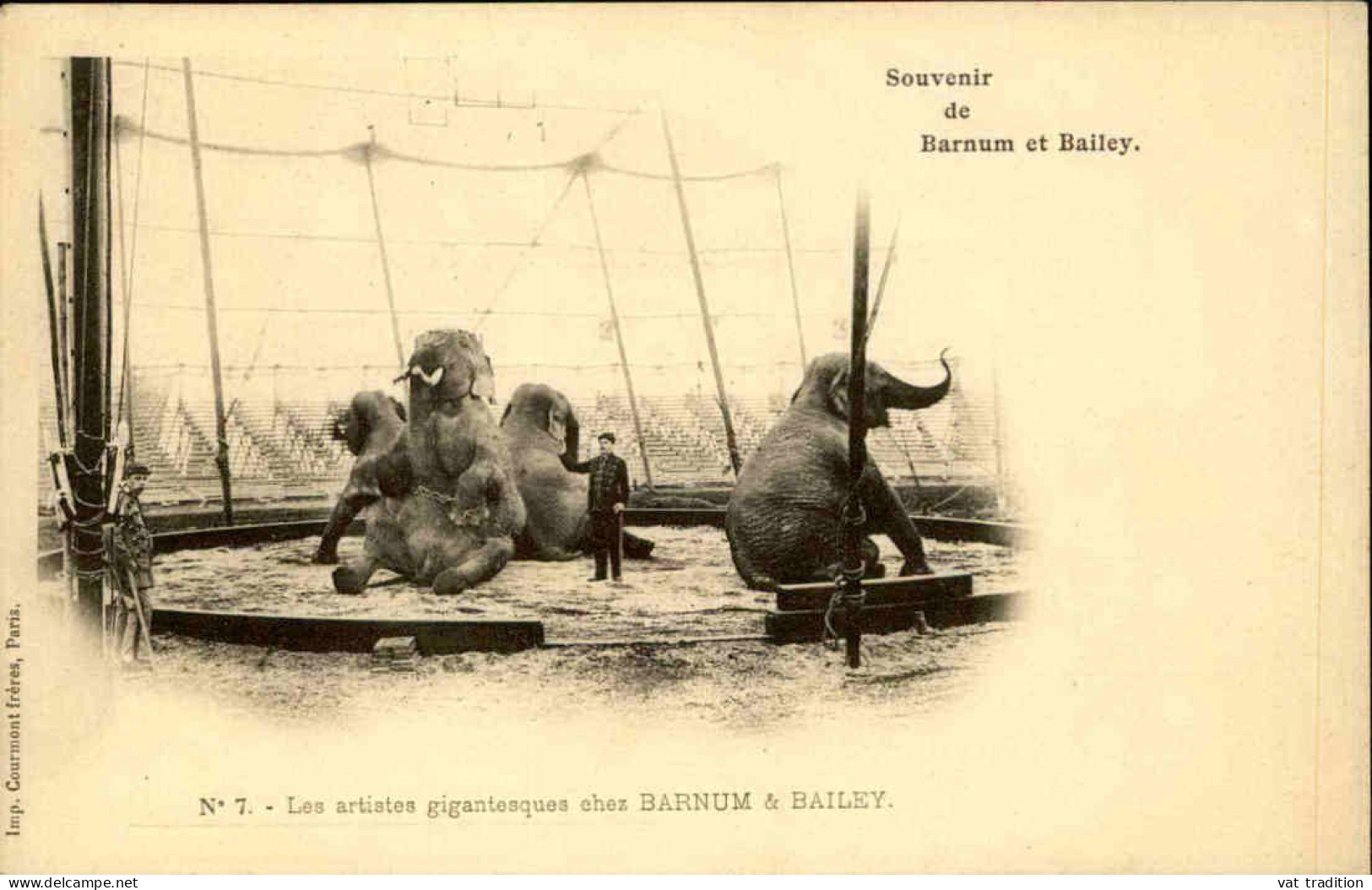 CIRQUE - Carte Postale - Souvenir De Barnum Et Bailey - Les Elephants - L 152173 - Zirkus