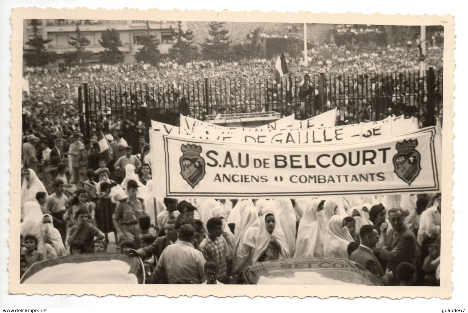 SUPERBE LOT De 5 PHOTOS Du FORUM D'ALGER (ALGERIE) - MAI 1958 - BANDEROLES "VIVE DE GAULLE" / "S.A.U DE BELCOURT" - Algeri