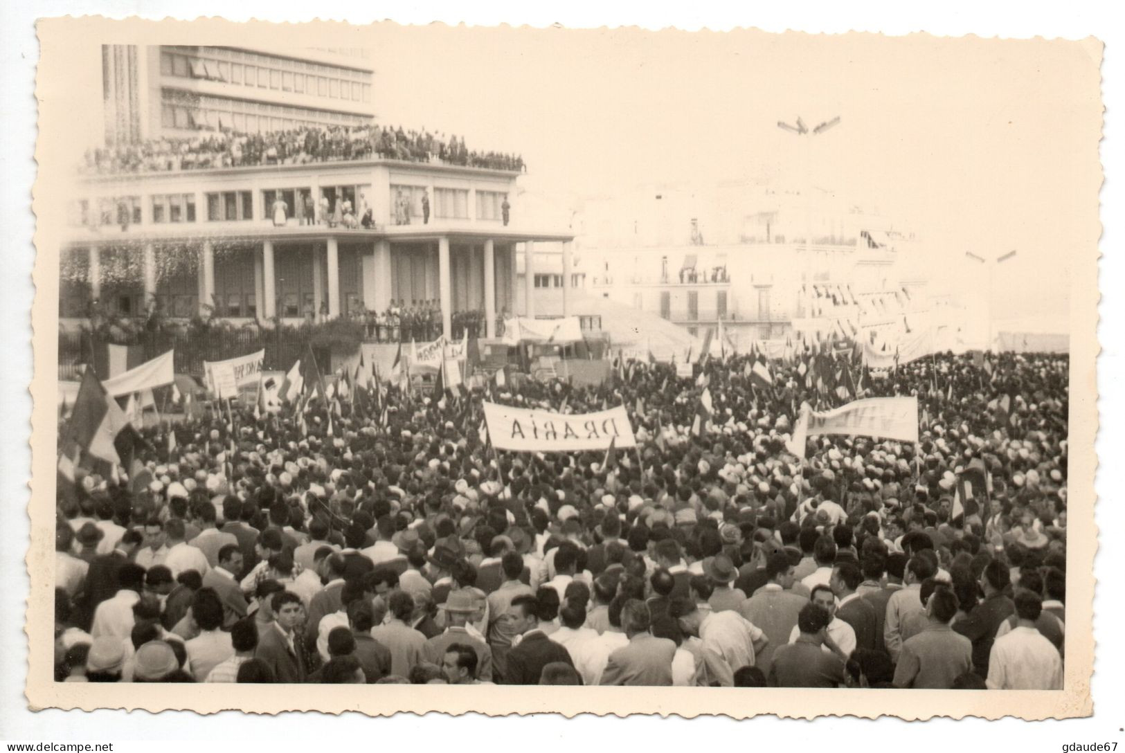 SUPERBE LOT de 5 PHOTOS du FORUM D'ALGER (ALGERIE) - MAI 1958 - BANDEROLES "VIVE DE GAULLE" / "S.A.U DE BELCOURT"