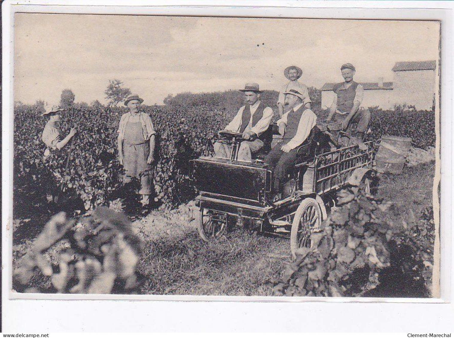 Environs De VILLEFRANCHE SUR SAONE: Vendanges - Très Bon état - Villefranche-sur-Saone