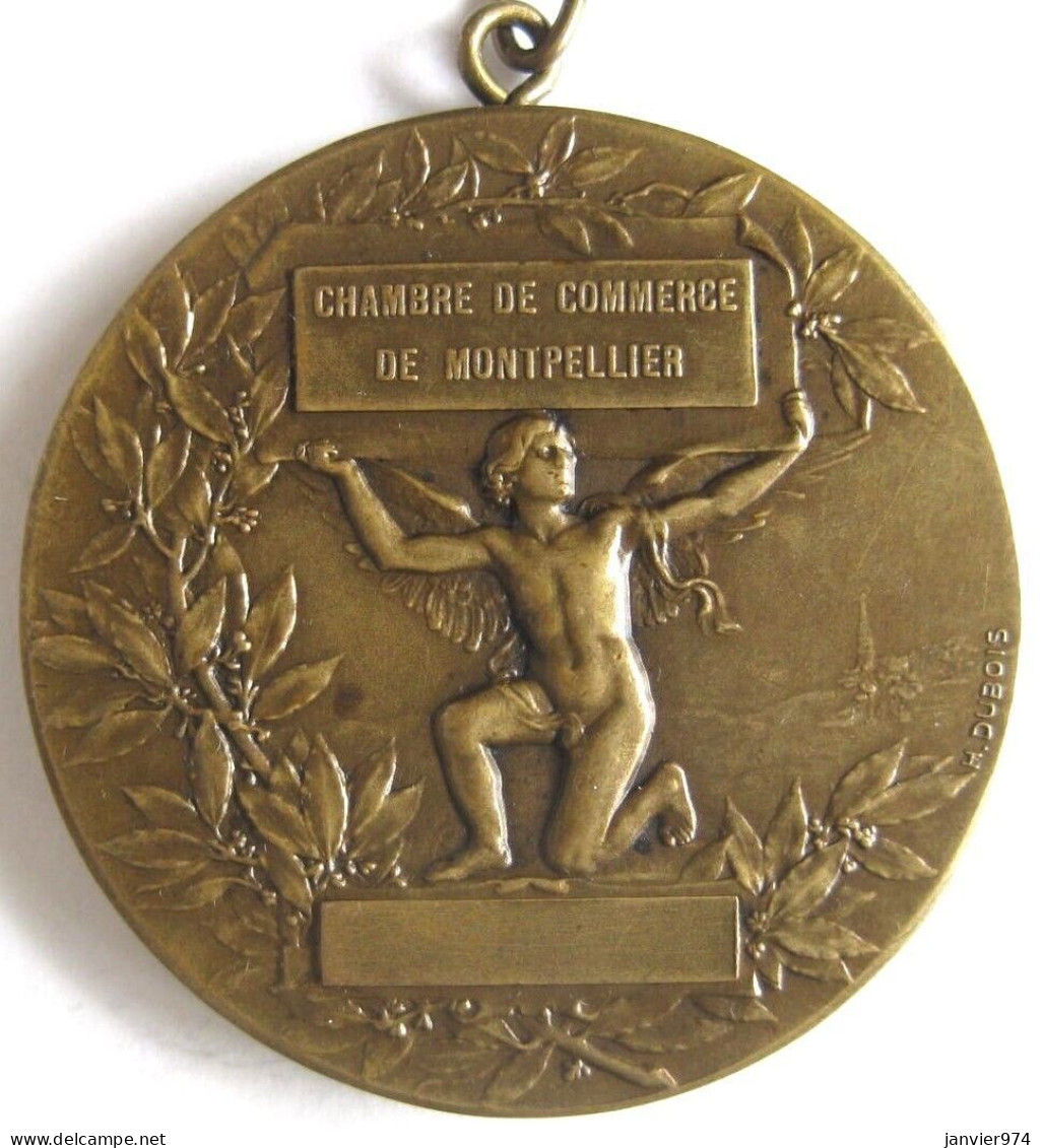 Médaille En Bronze Exposition De GANGES Hérault, 1922 . Chambre De Commerce De Montpellier, Ange Nu, Par DUBOIS - Sonstige & Ohne Zuordnung