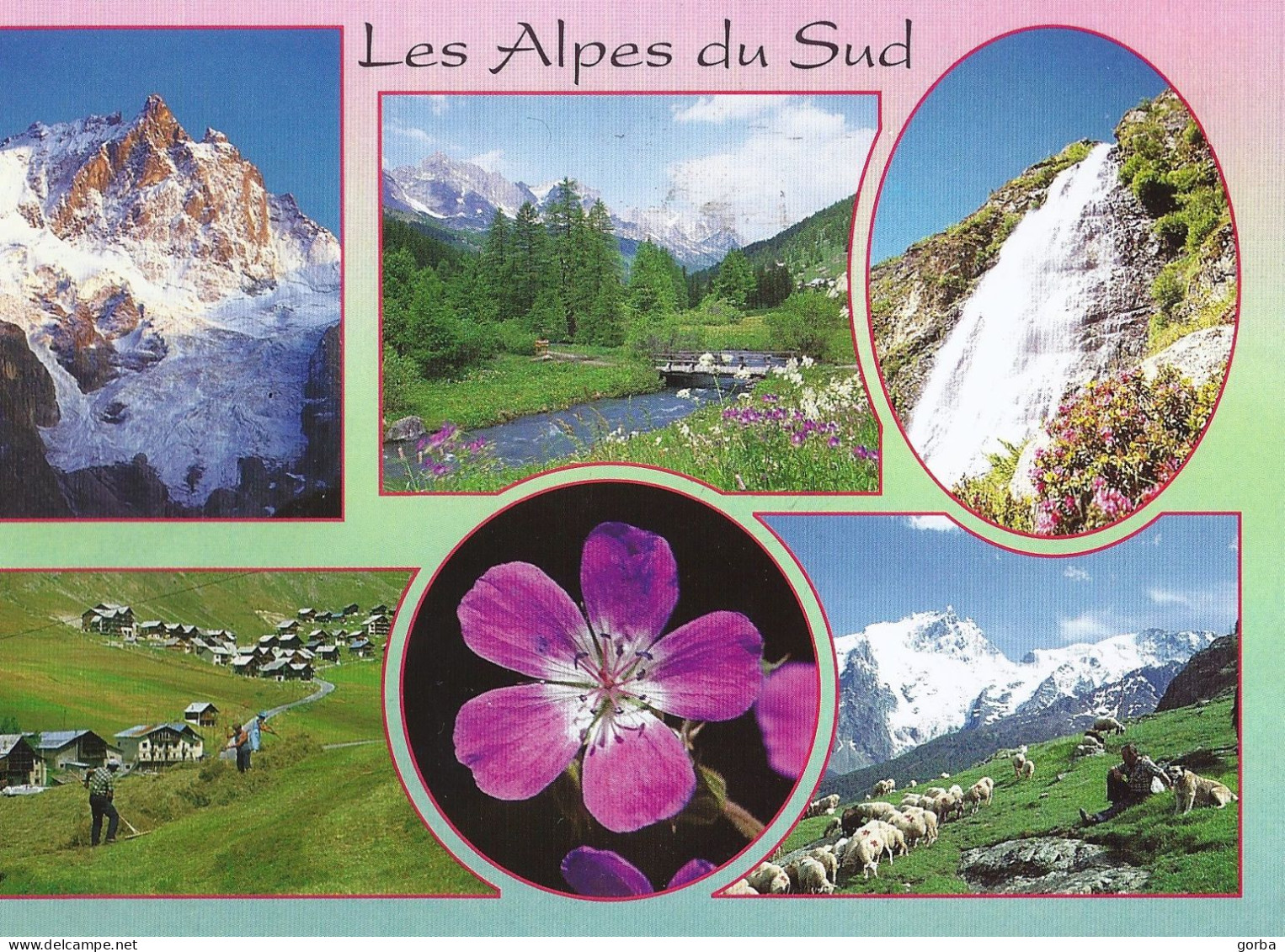 *CPM  - FRANCE - PACA - Les Alpes Du Sud - L'Ete En Montagne - Multivue - Provence-Alpes-Côte D'Azur