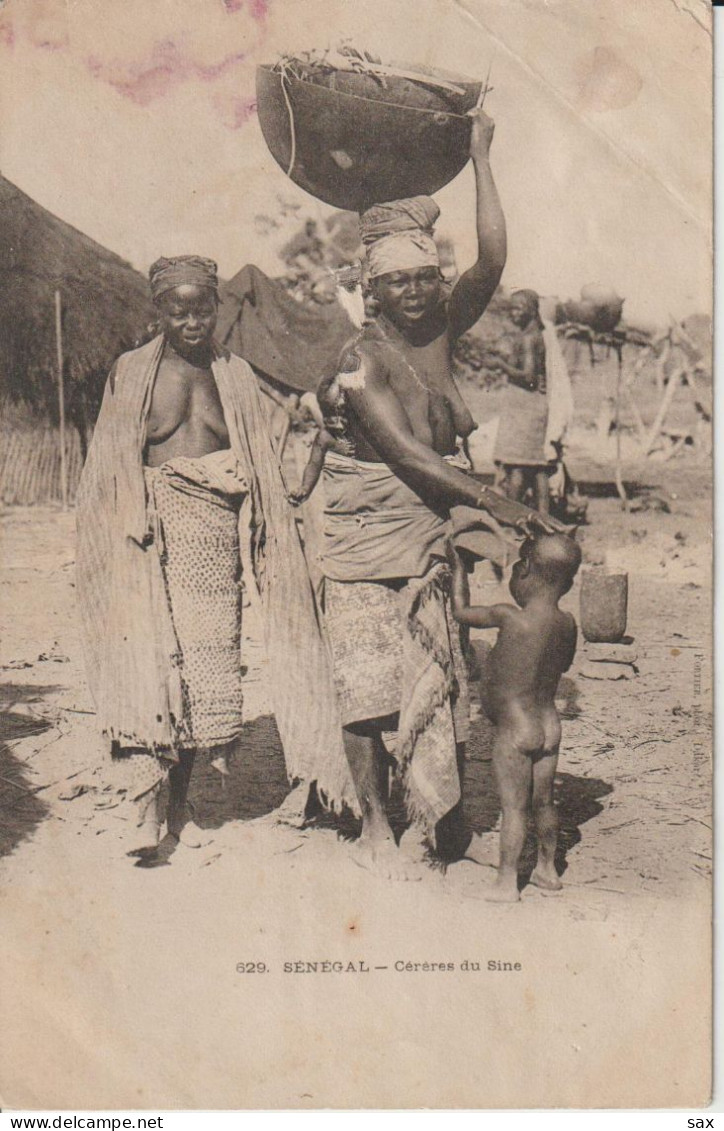2418-248 Av 1905 N°629 Séné Céréres Du Siné Fortier Photo Dakar   Retrait 19-05 - Senegal