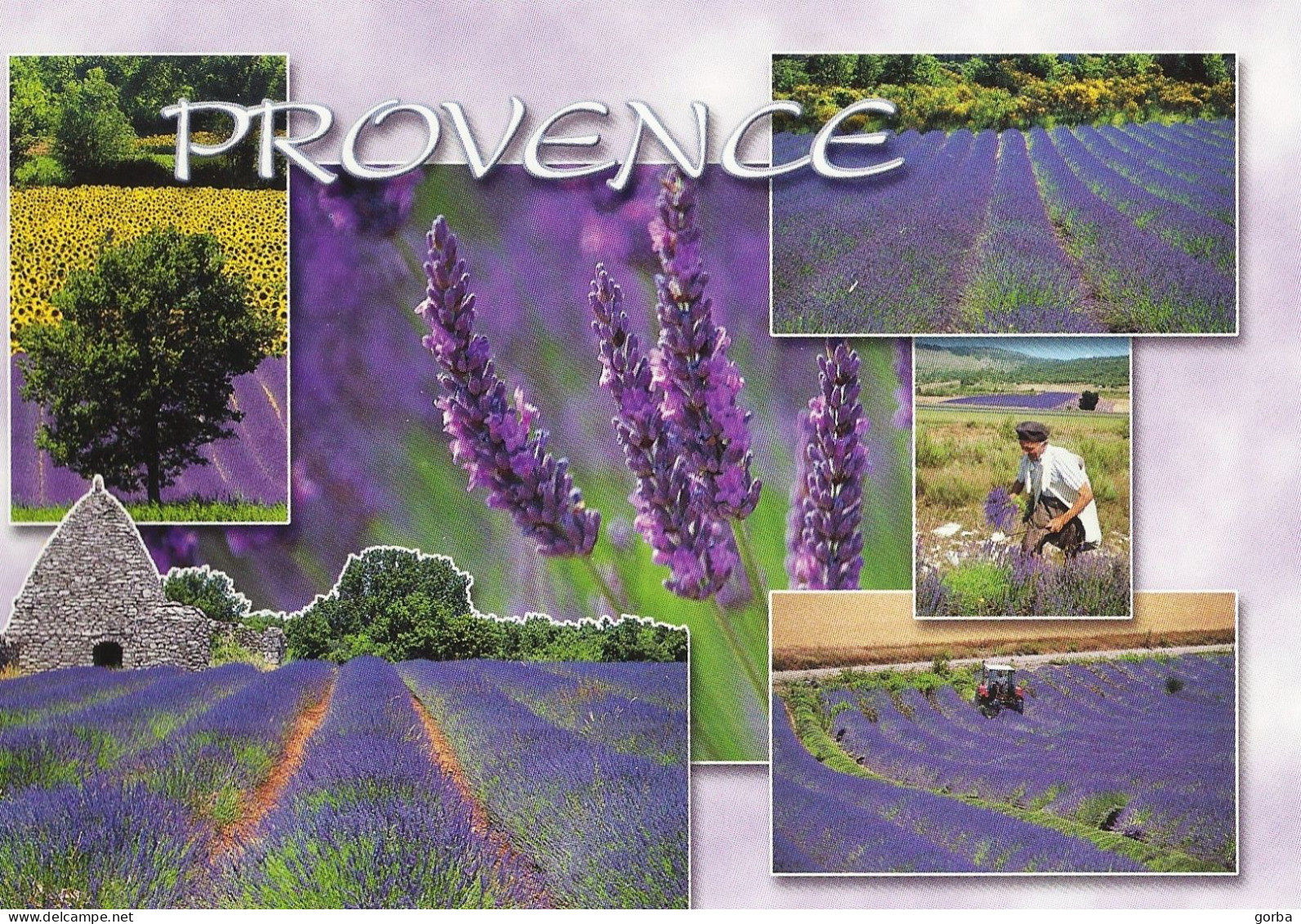 *CPM  - FRANCE - PACA - La Provence - Multivue - Provence-Alpes-Côte D'Azur