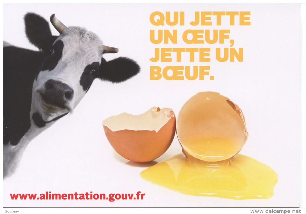 "Qui Jette Un Oeuf Jette Un Boeuf" Manger C'est Bien Jeter ça Craint Stop Gaspillage (vache Oeuf) Cp Vierge - Advertising