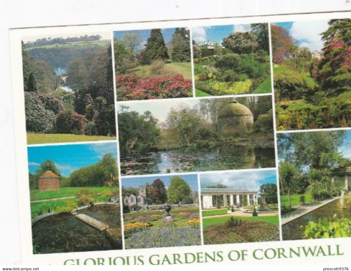 Glorious Gardens Of Cornwall, Multiview -   Unused Postcard   - L Size 17x12Cm - LS4 - Other & Unclassified
