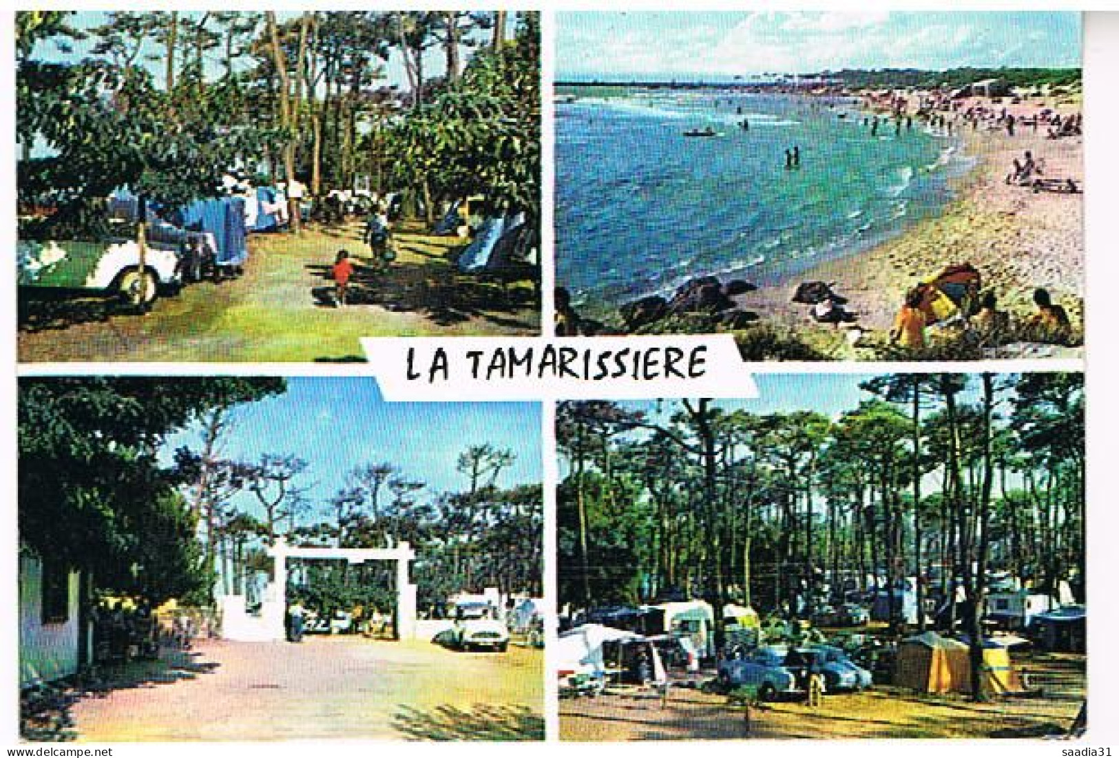 34  LE GRAU D  AGDE    LLE CAMPING DE LA TAMARISSIERE 1962 - Agde