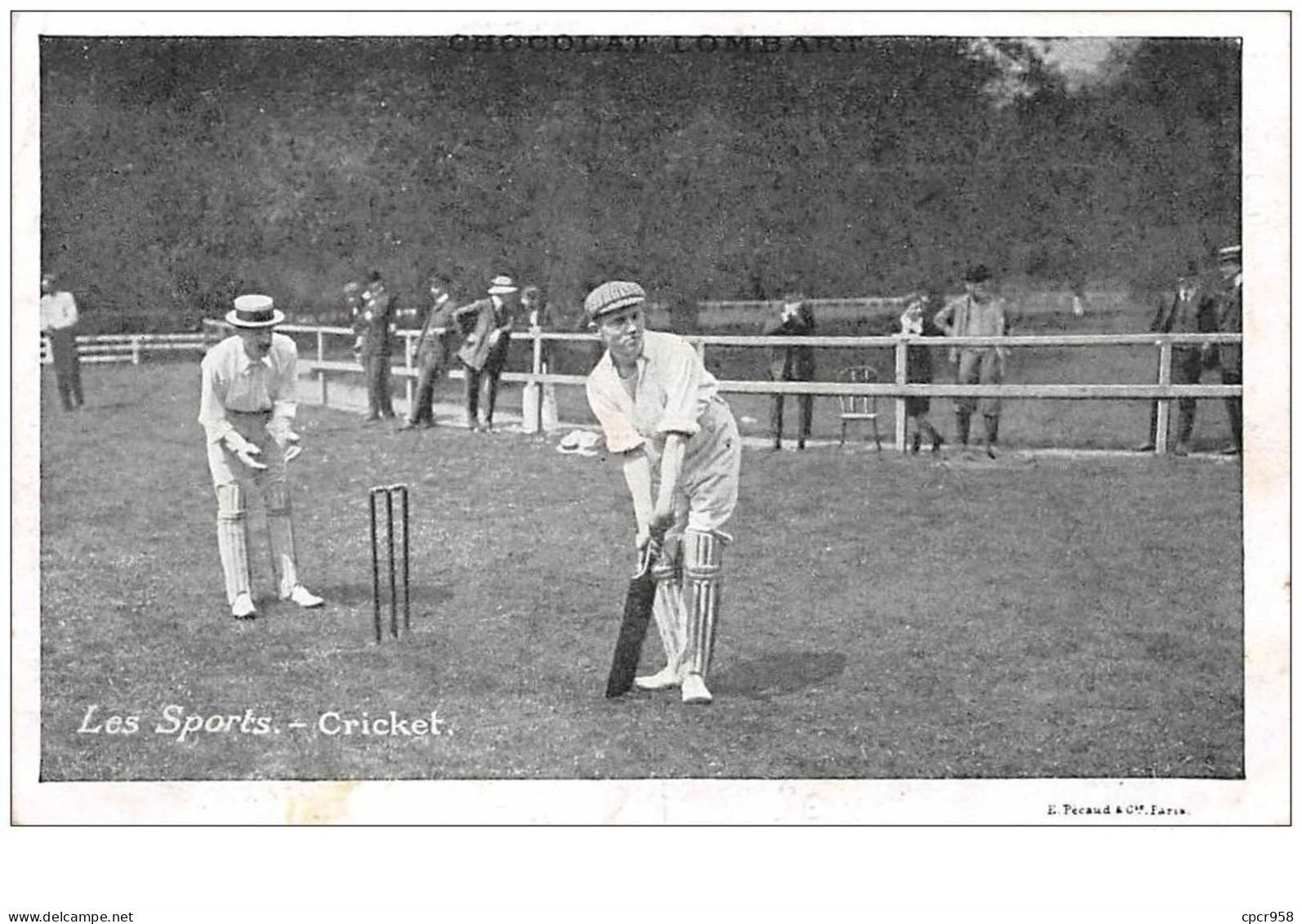 Sport . N°50150 . Cricket.chocolat Lombart - Cricket